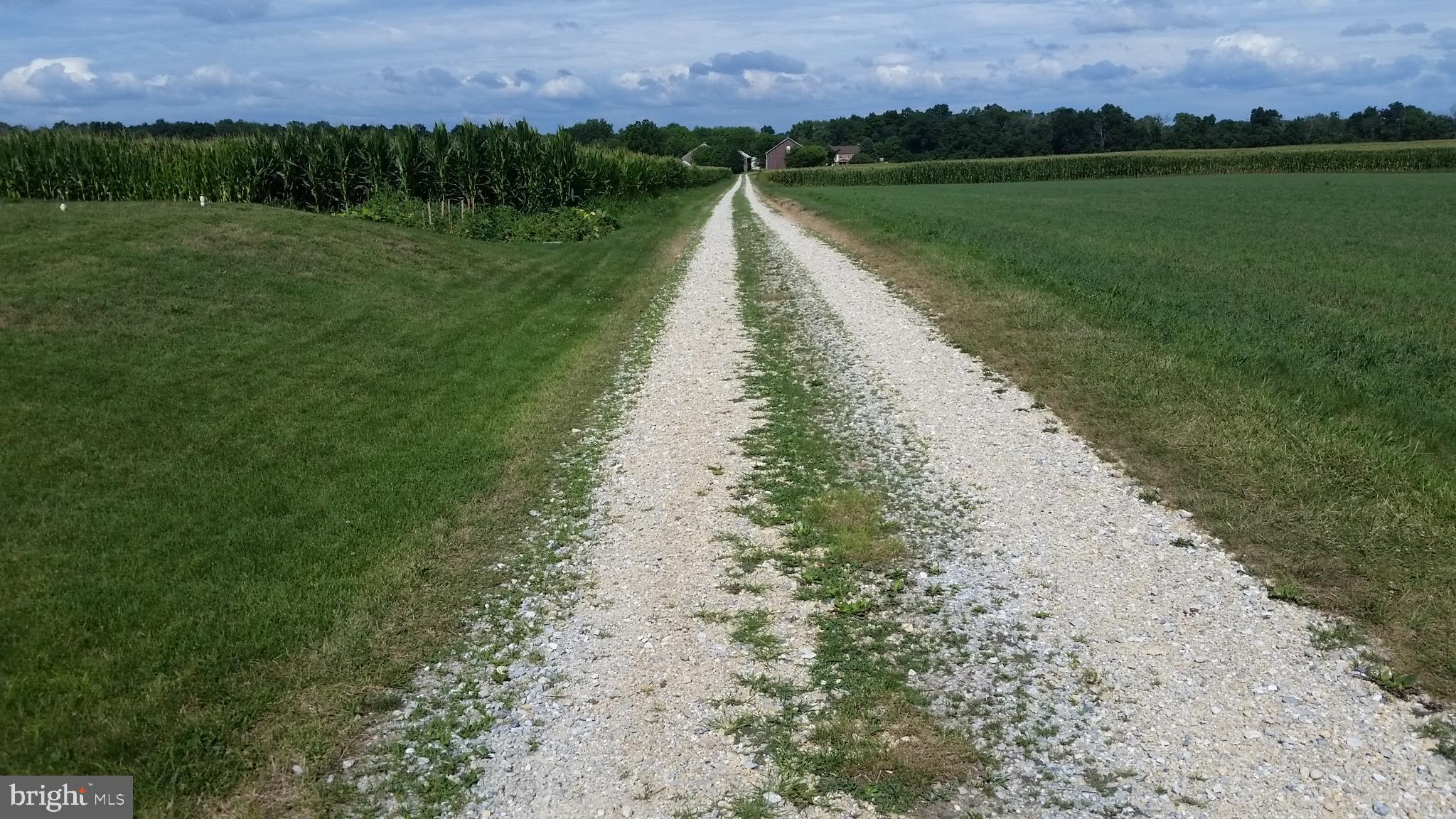 CONEWAGO - Farm