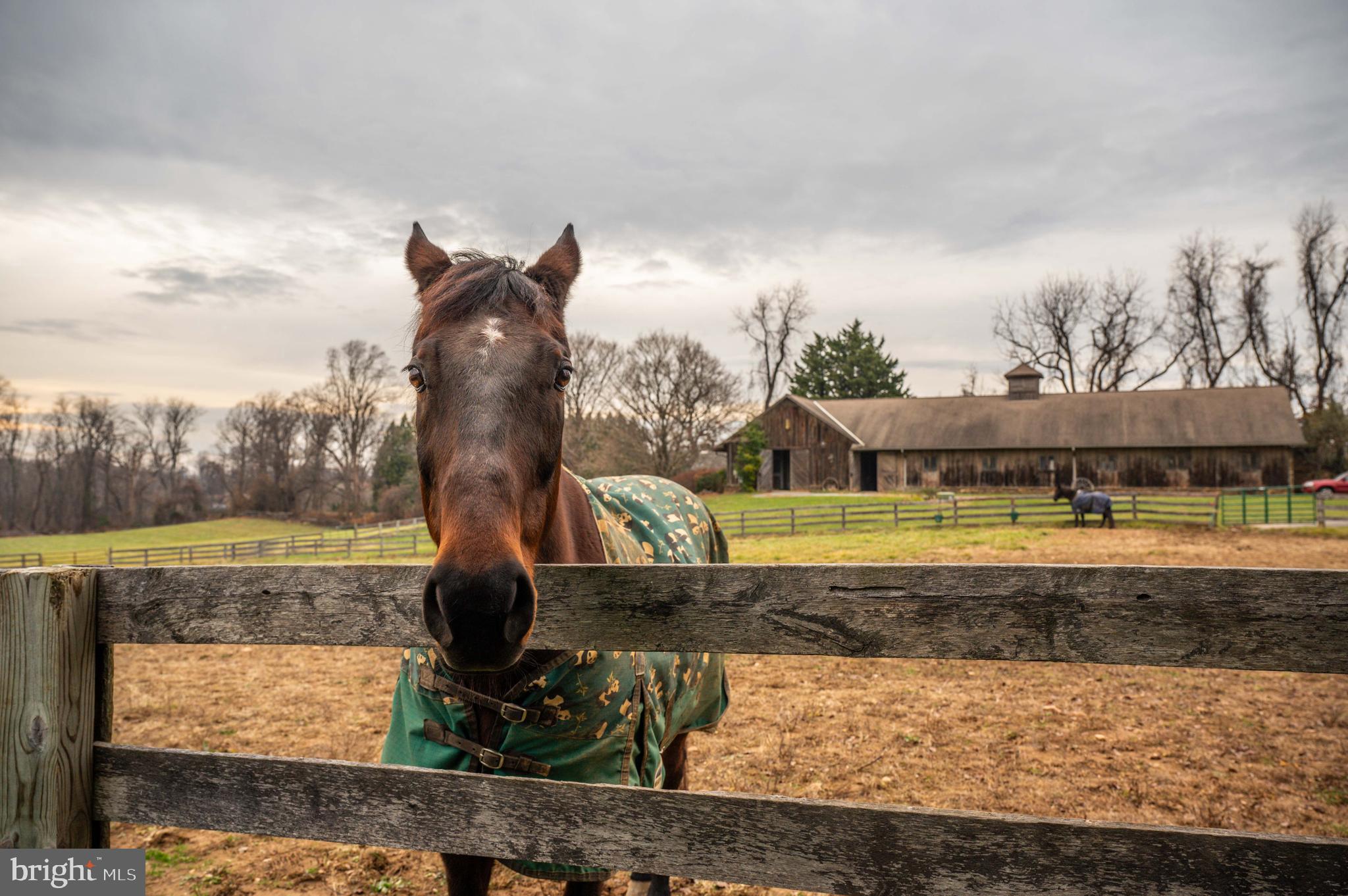 BROOKFIELD - Farm