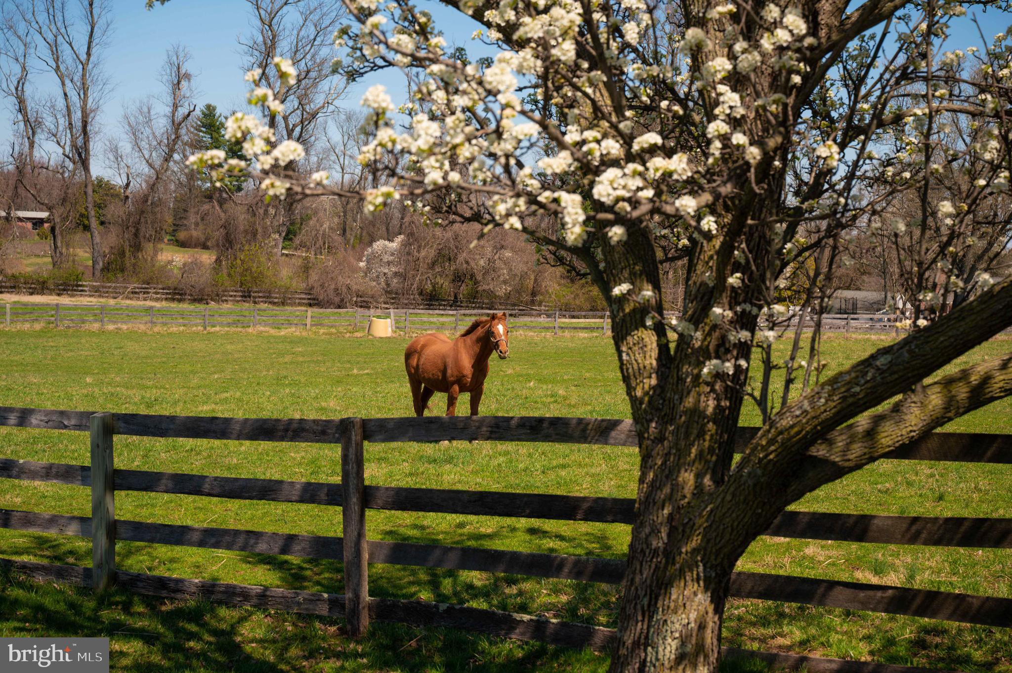 BROOKFIELD - Farm