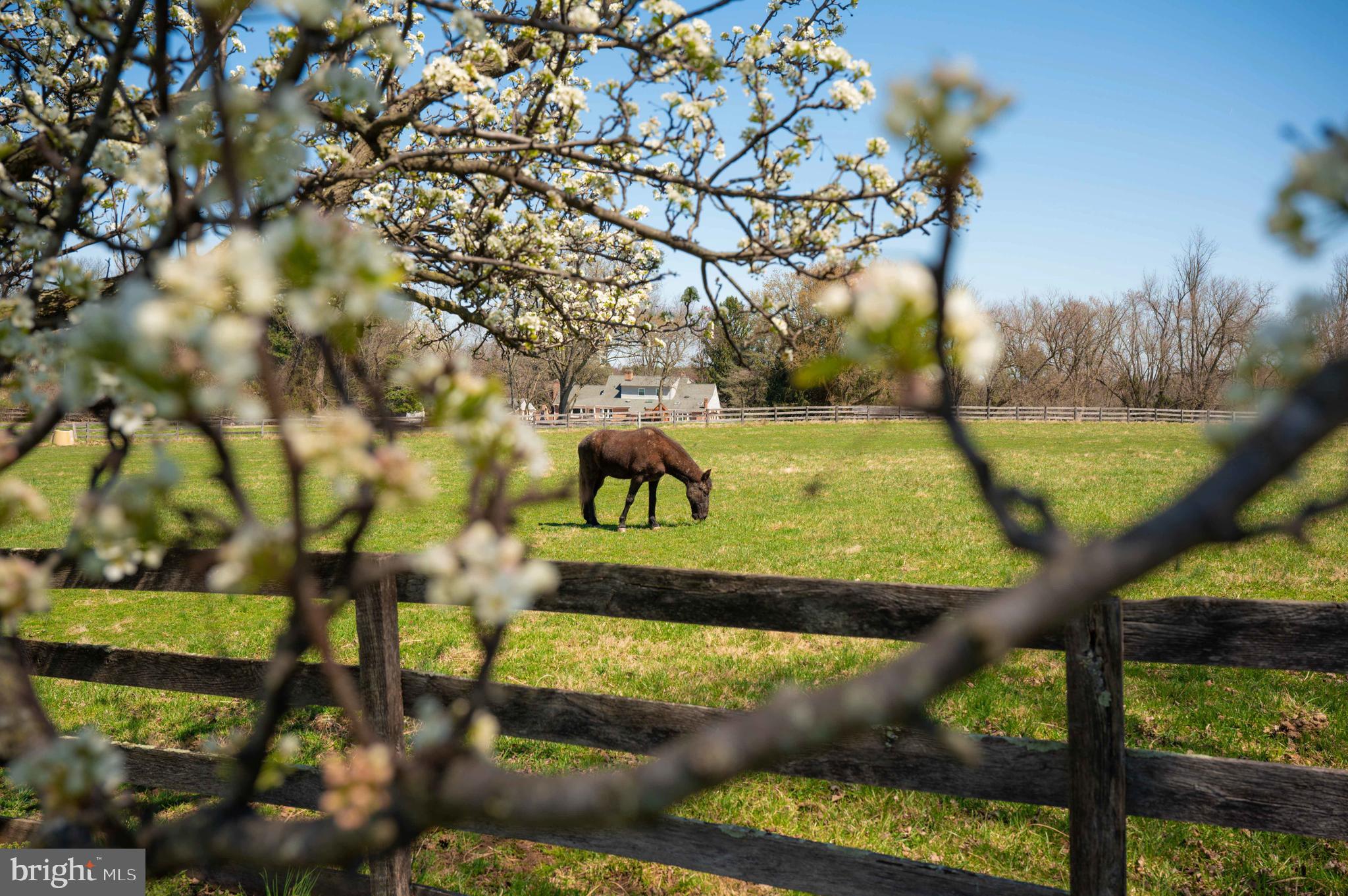 BROOKFIELD - Farm