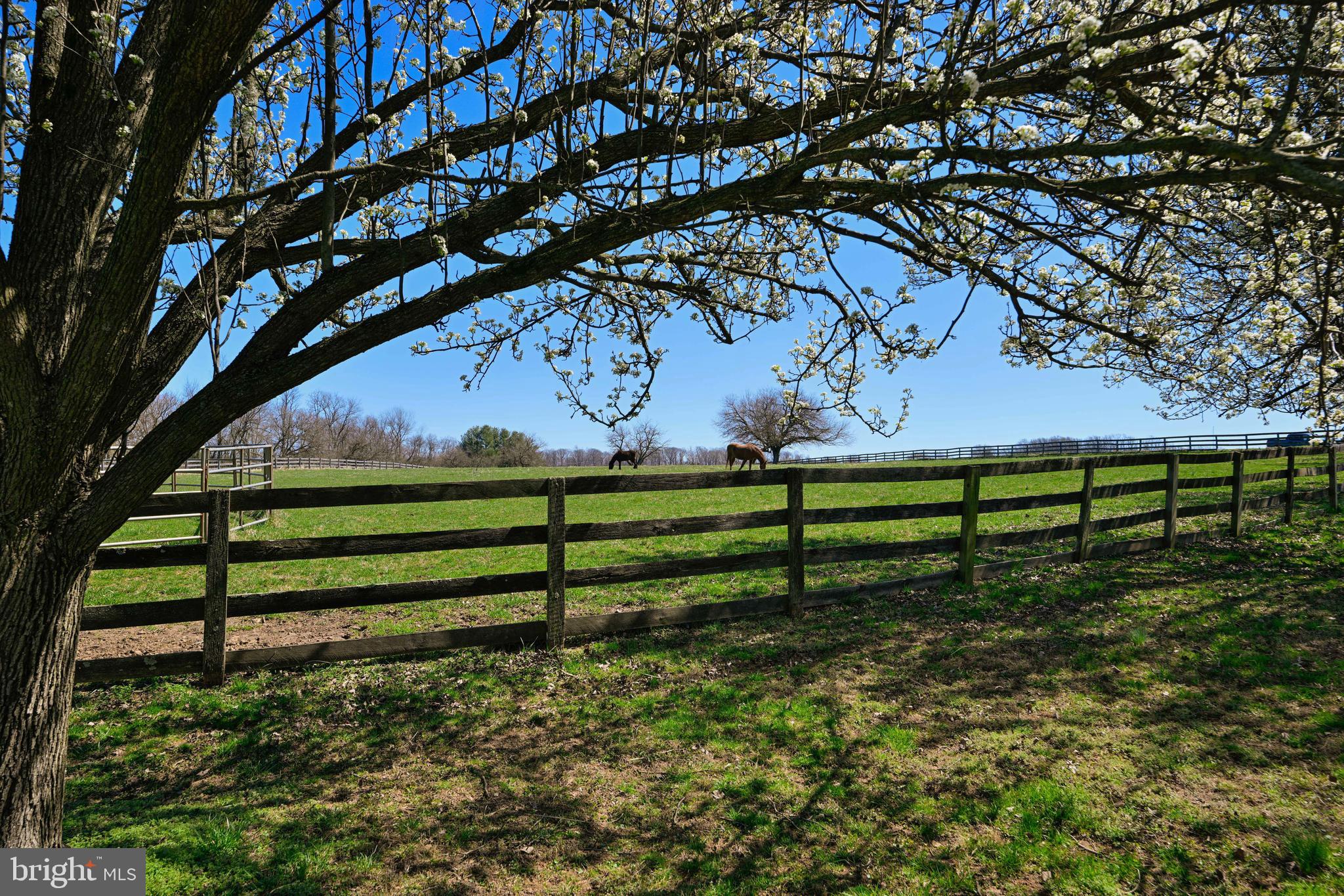 BROOKFIELD - Farm