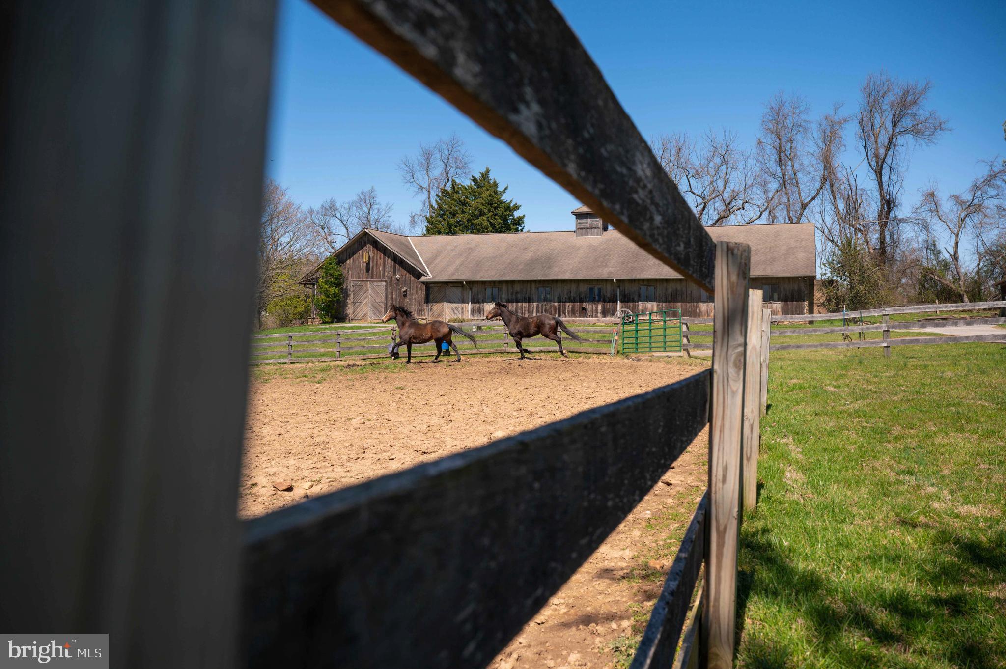 BROOKFIELD - Farm