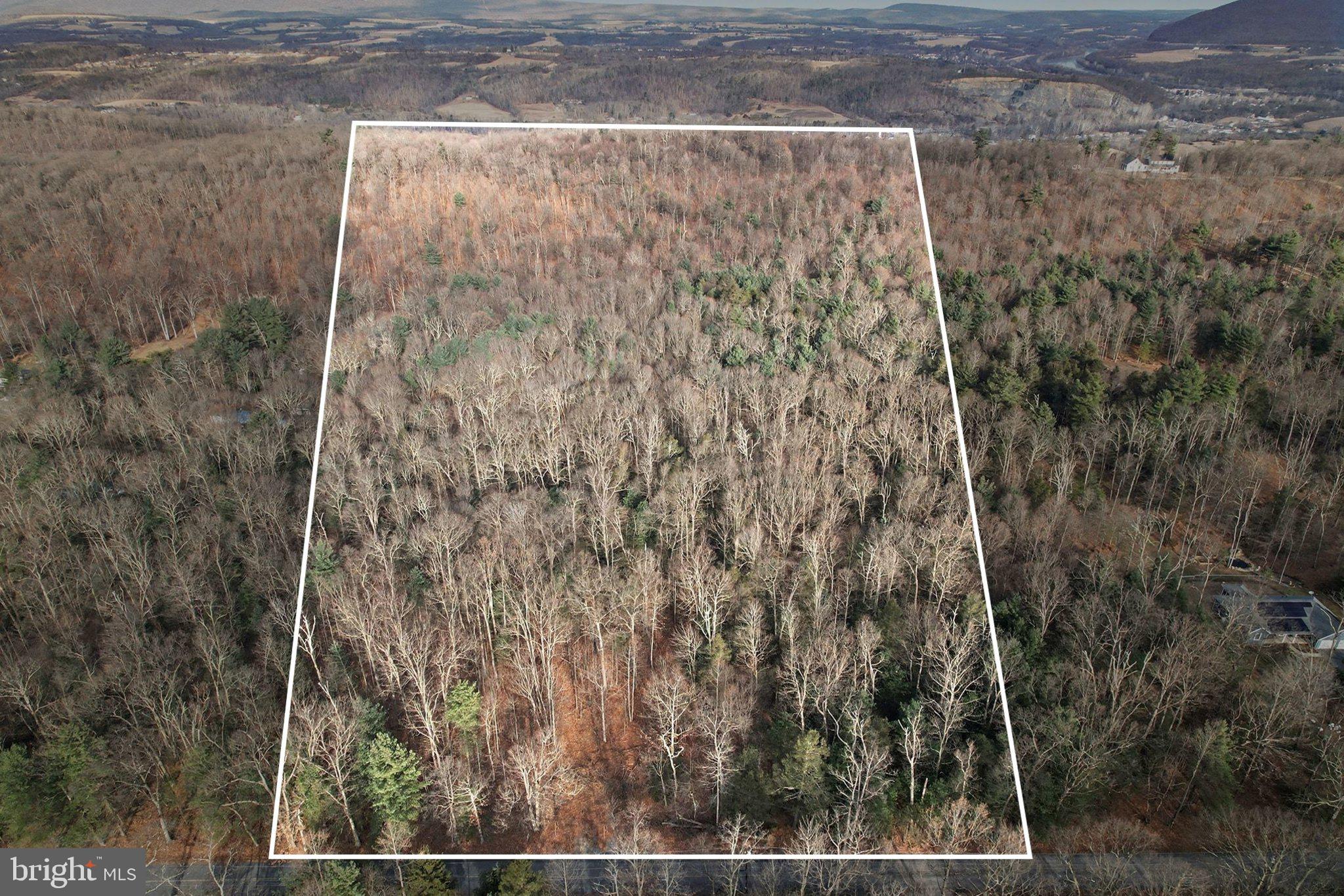 Beautiful 26 wooded acres up for sale on Hickory Ridge Road.  Mostly level on the frontage with plenty of pine trees to build a dream cabin or home, with an elevated ridge to the rear of the property to hunt or build if want mountain views from your porch.  Old fallen down cabin and shed on top the ridge.  Access road up, that could be put back into service with a little work.