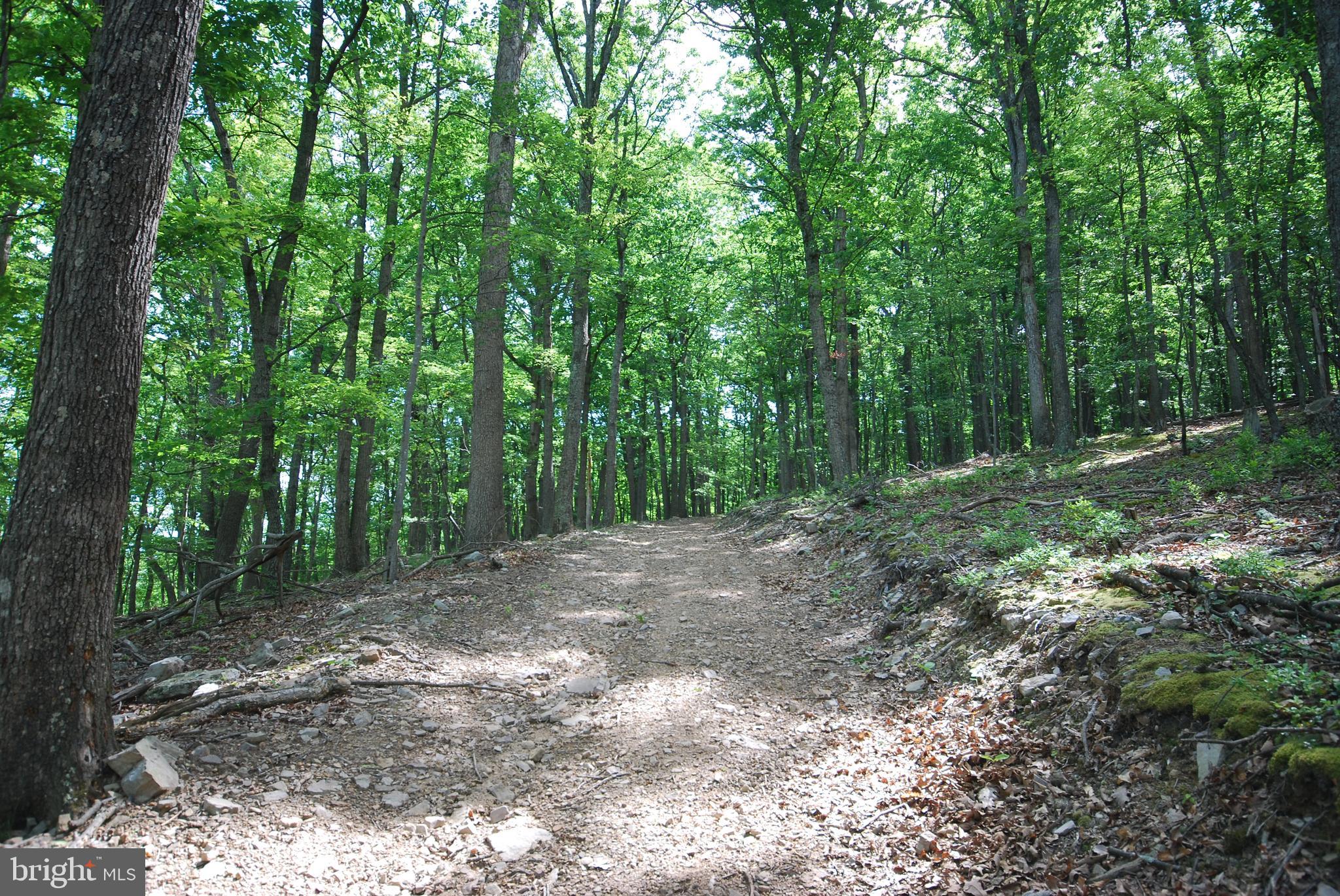 MILL MOUNTAIN ORCHARD - Land