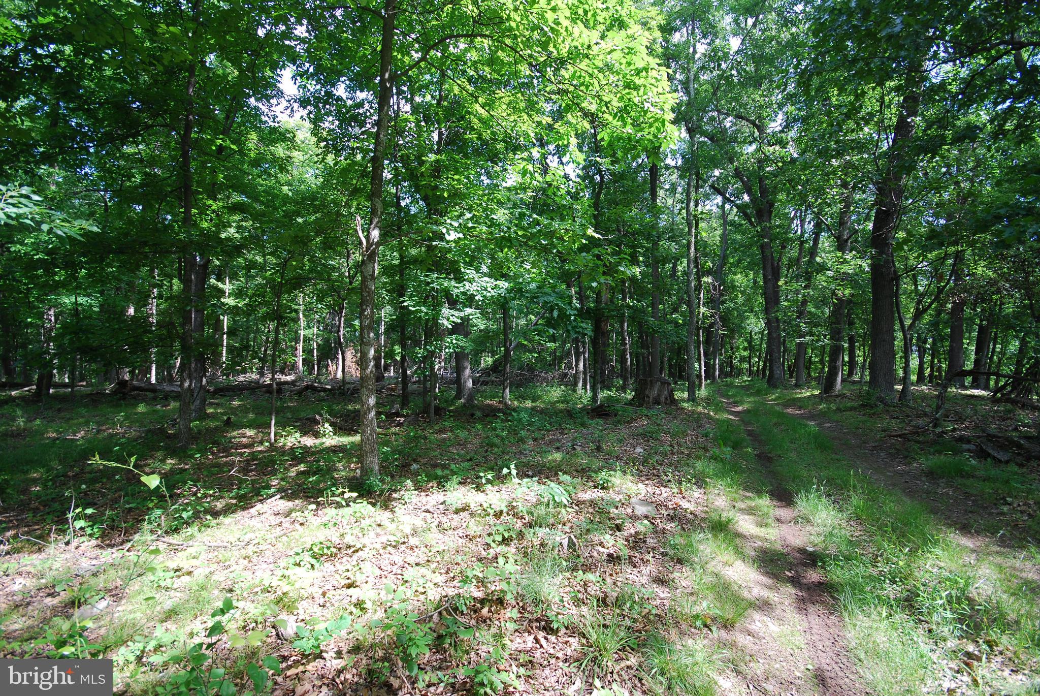 MILL MOUNTAIN ORCHARD - Land