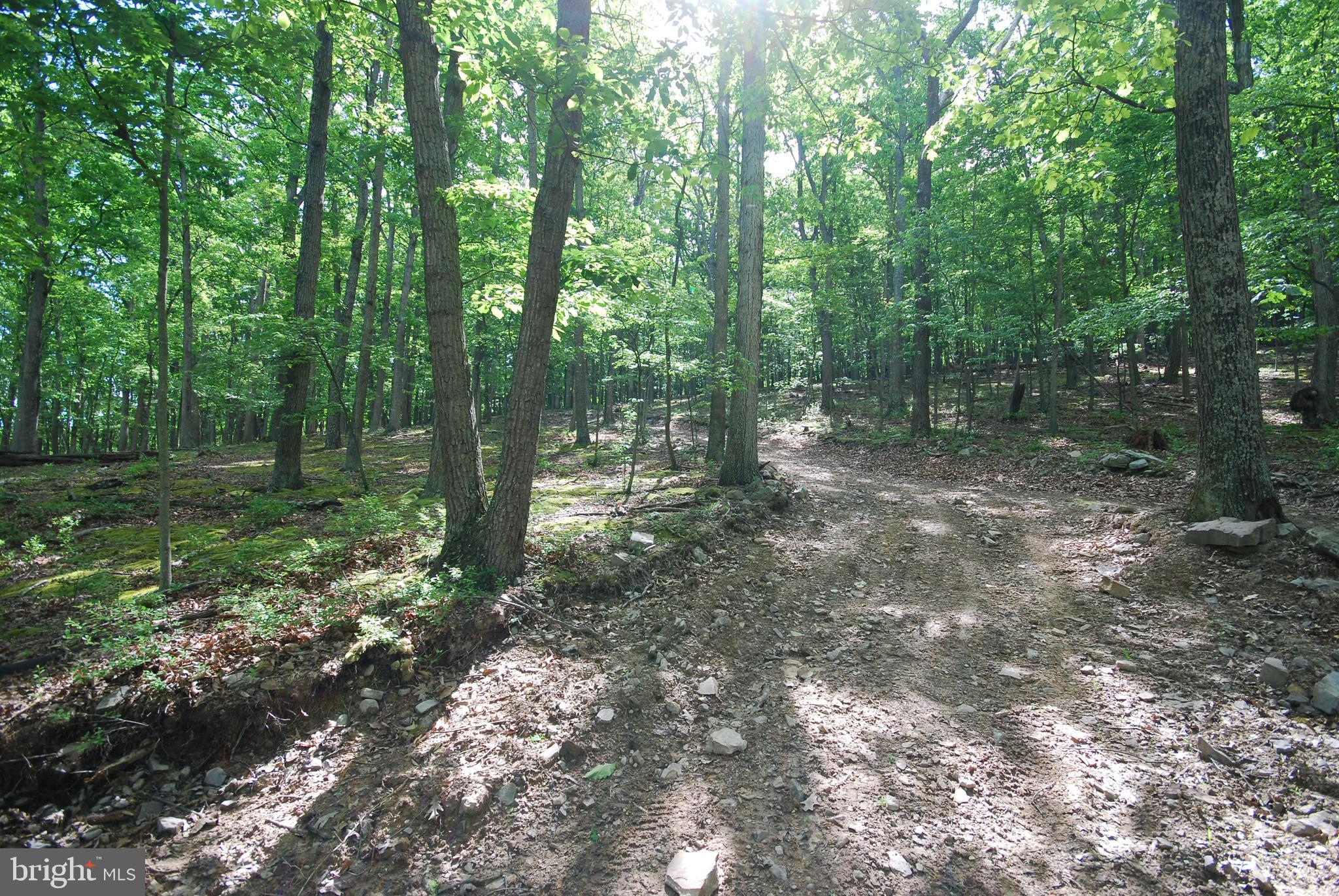 MILL MOUNTAIN ORCHARD - Land