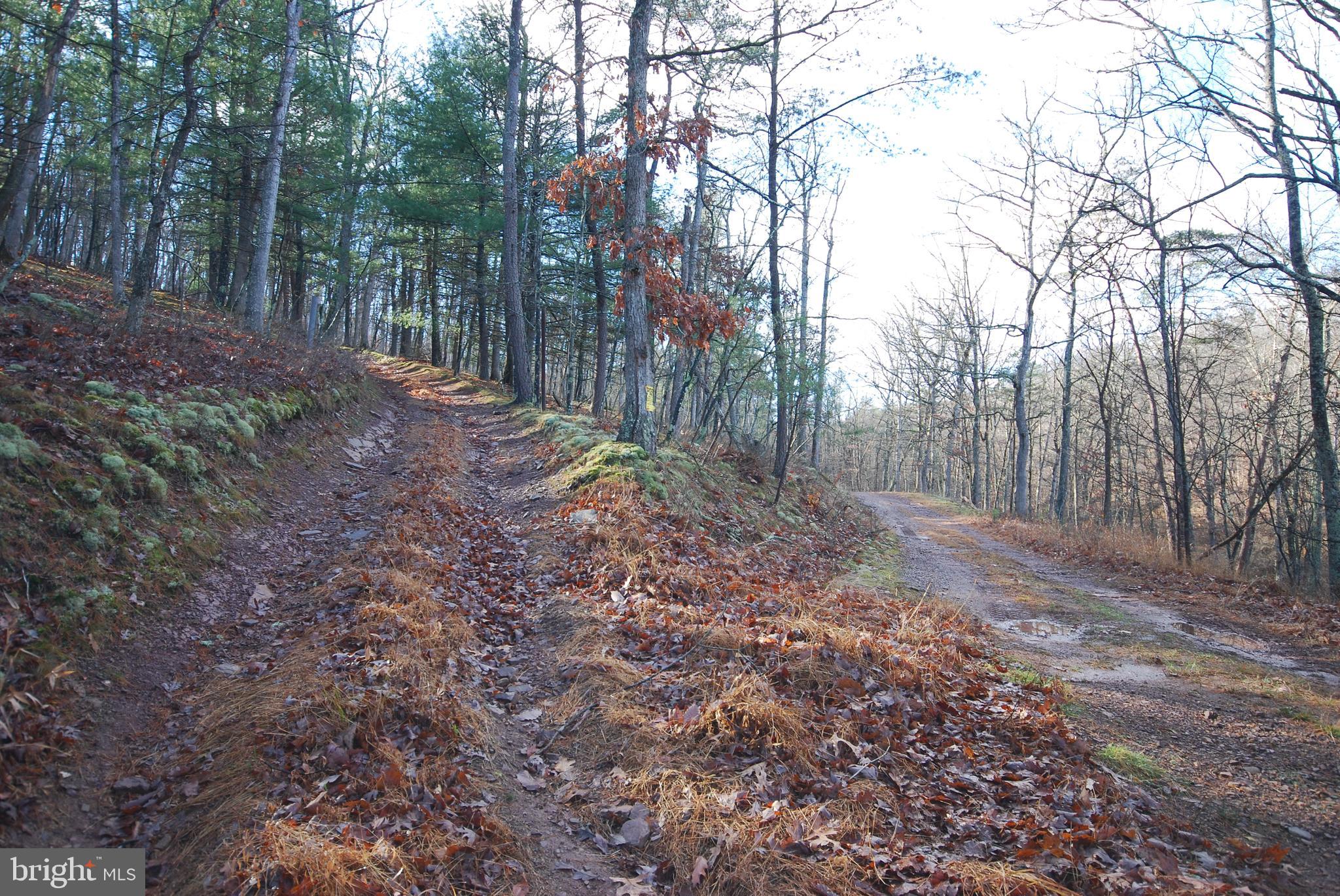 MILL MOUNTAIN ORCHARD - Land