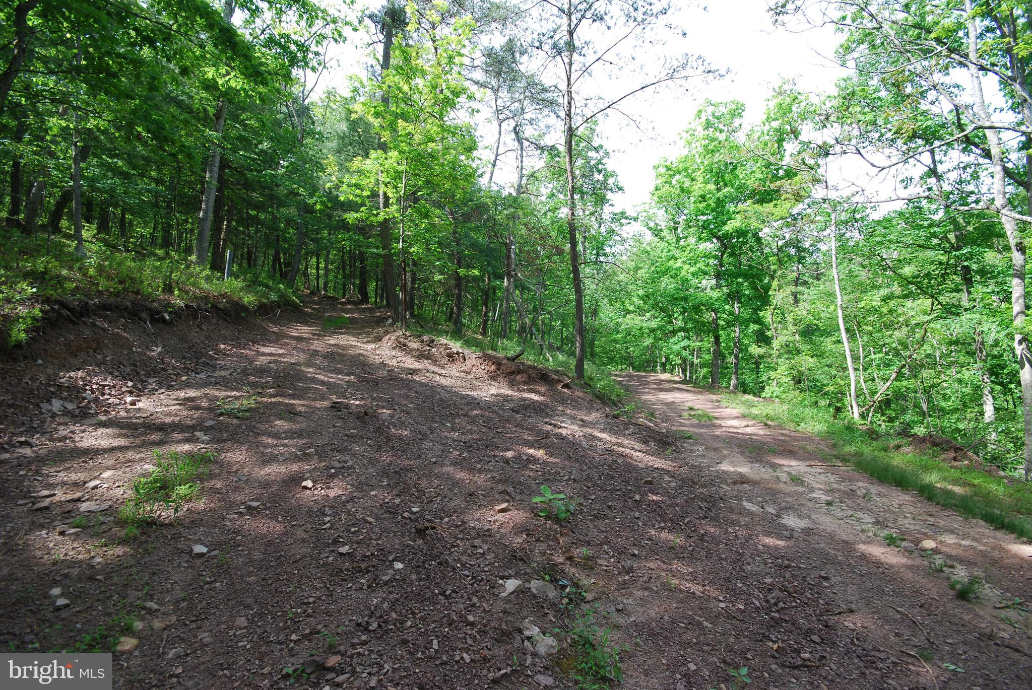 MILL MOUNTAIN ORCHARD - Land