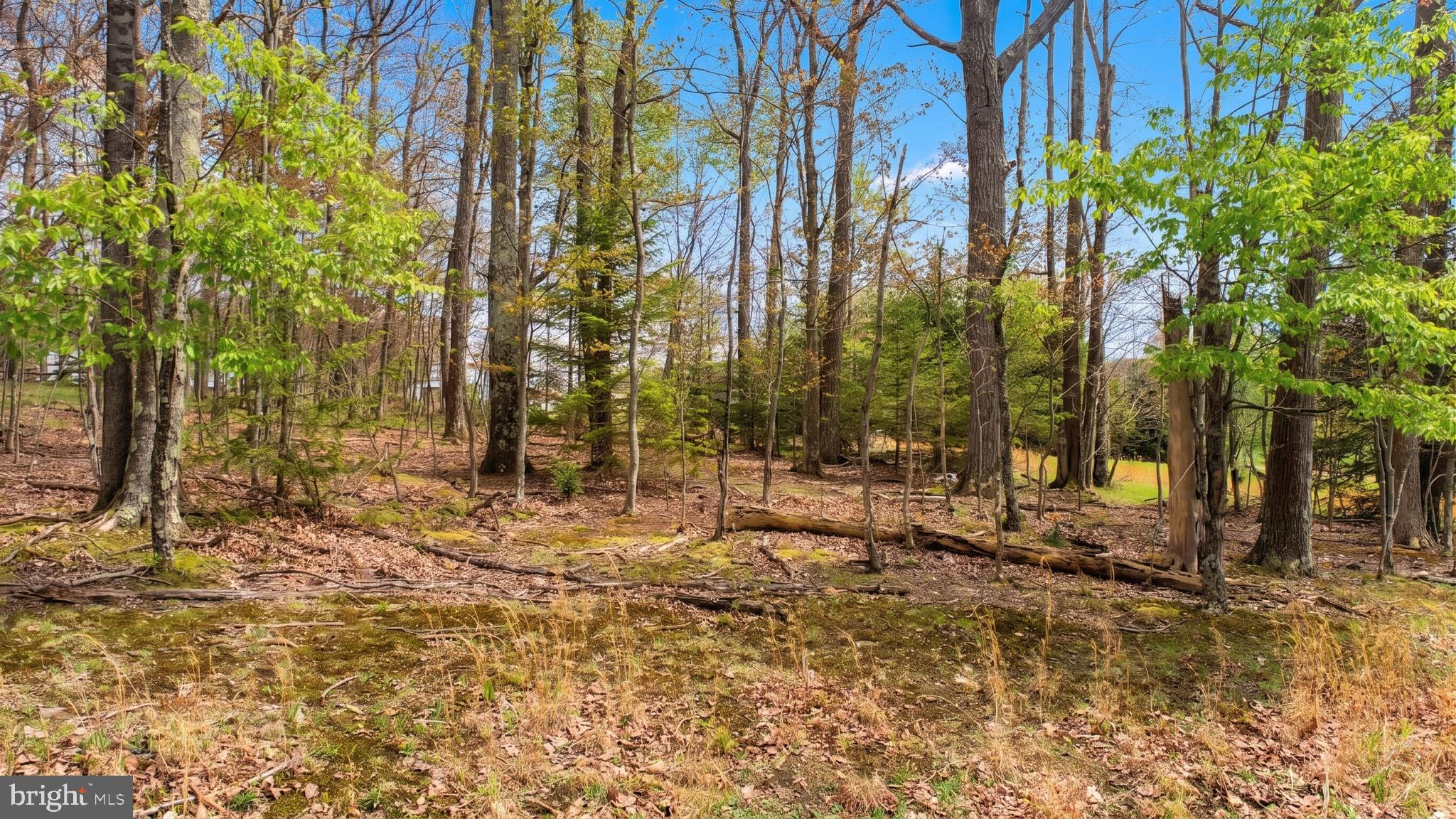 ASPEN WOODS WEST - Land