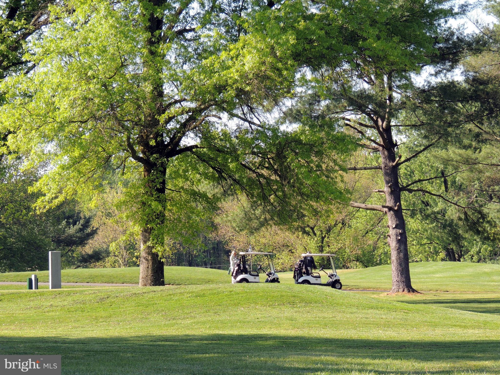 RICHLAND FOREST - Residential
