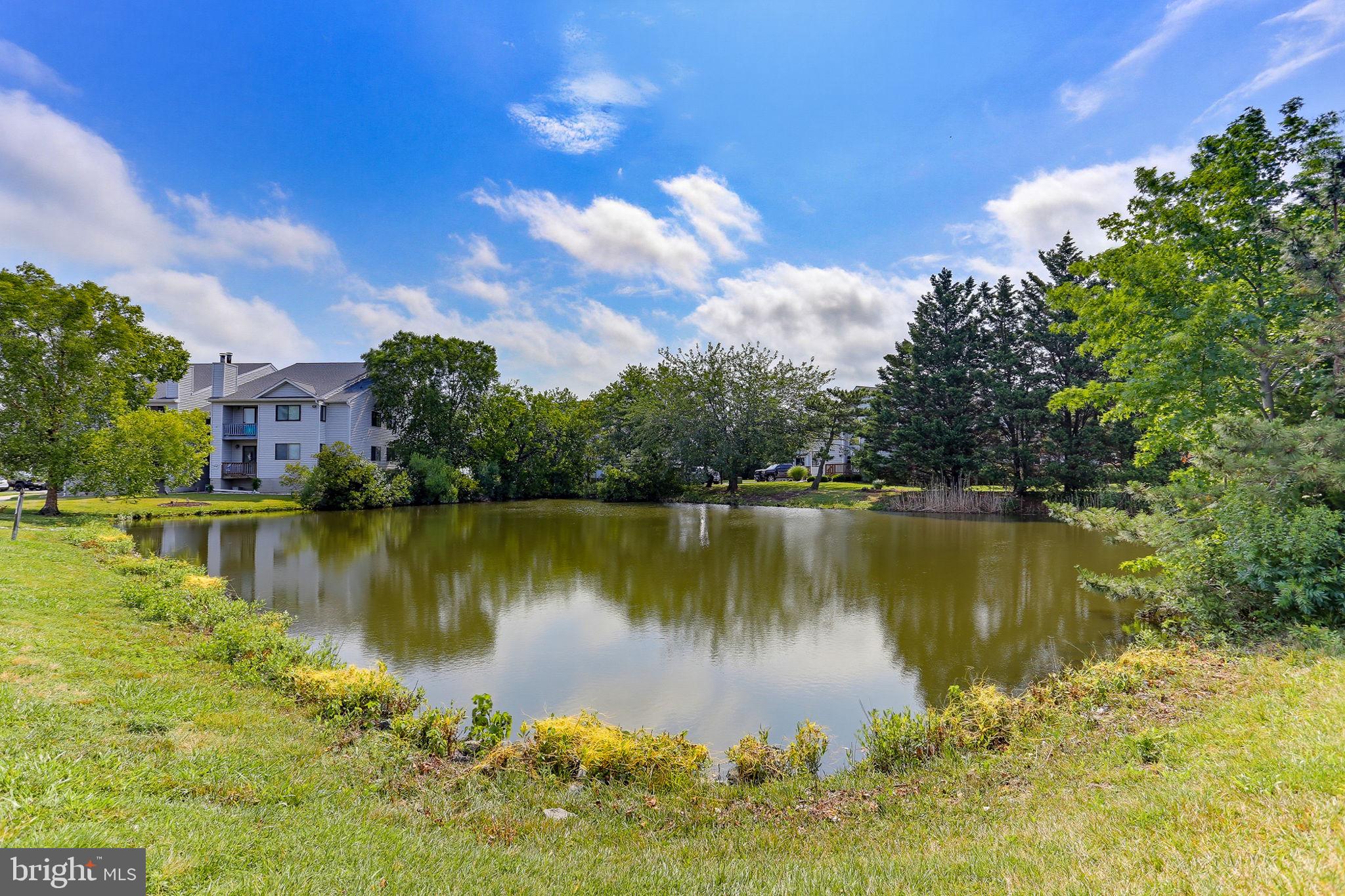 THOMPSON CREEK CONDOS - Residential
