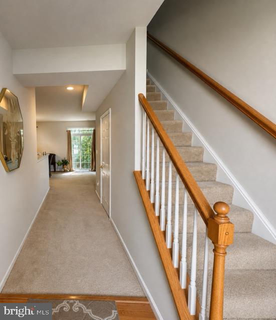 TRICE MEADOWS - Residential