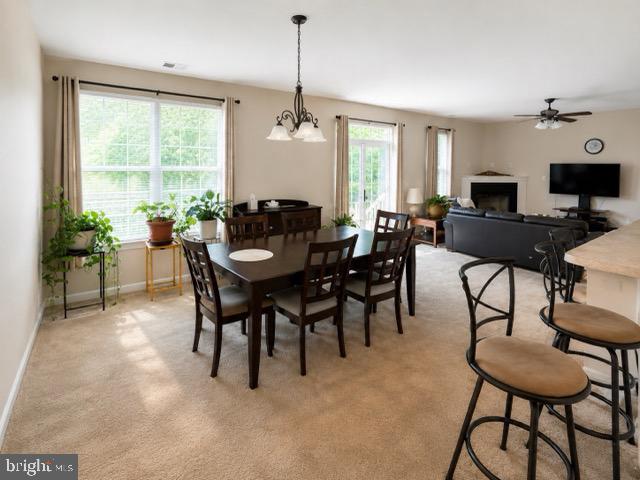 TRICE MEADOWS - Residential