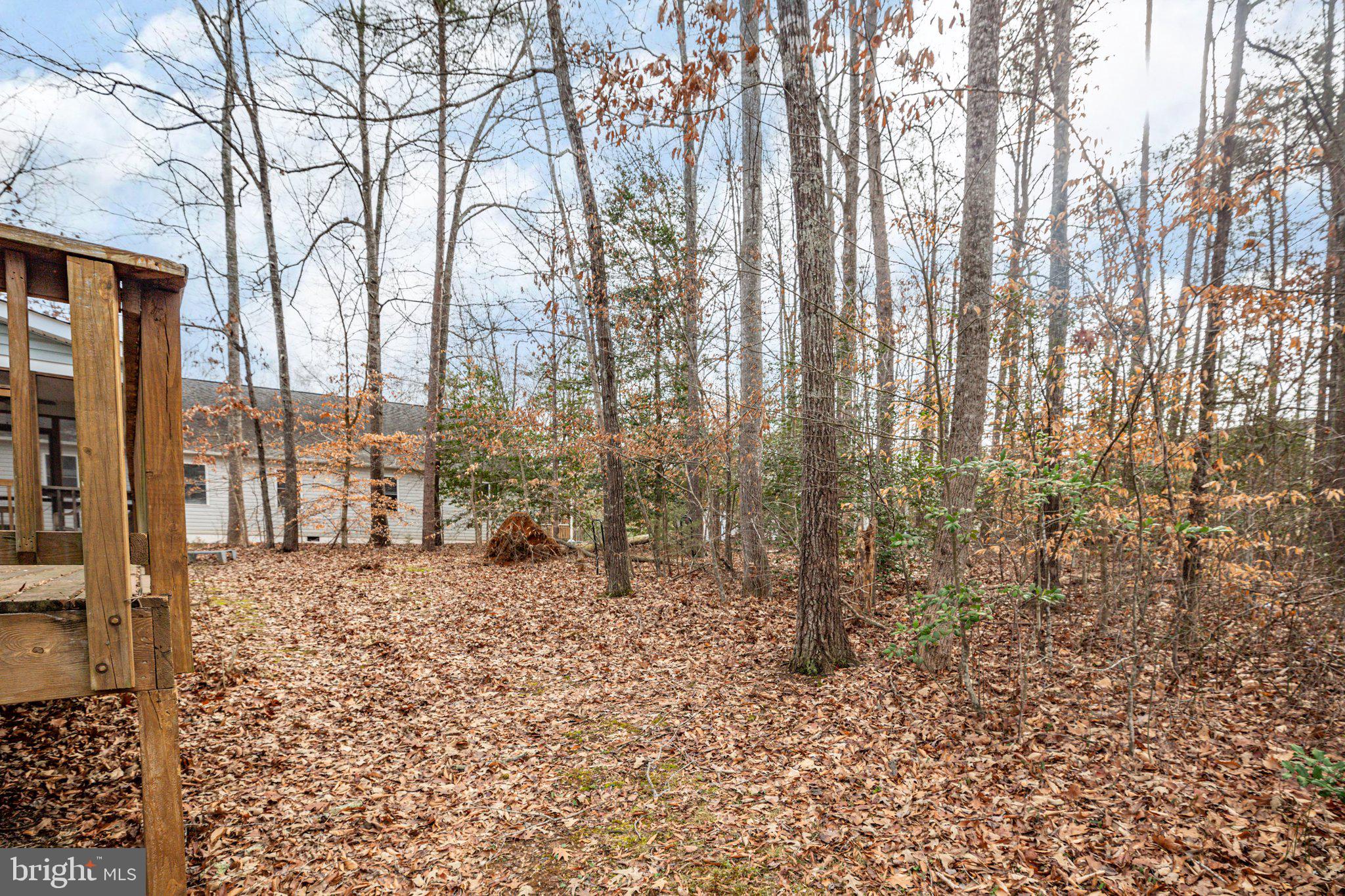 LAKE OF THE WOODS - Residential