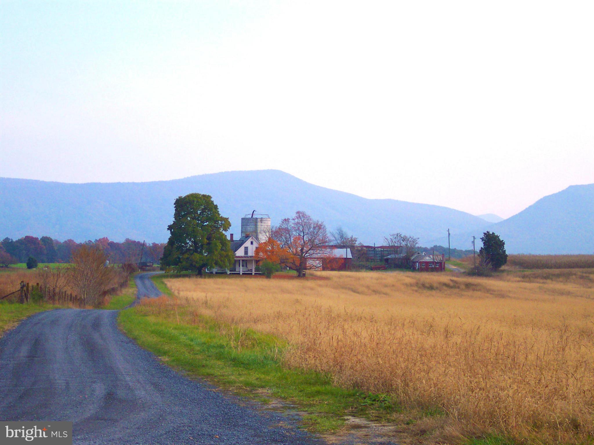 NONE AVAILABLE - Farm