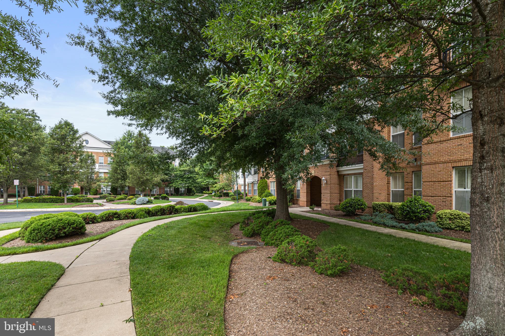 LIBERTY GROVE - Residential