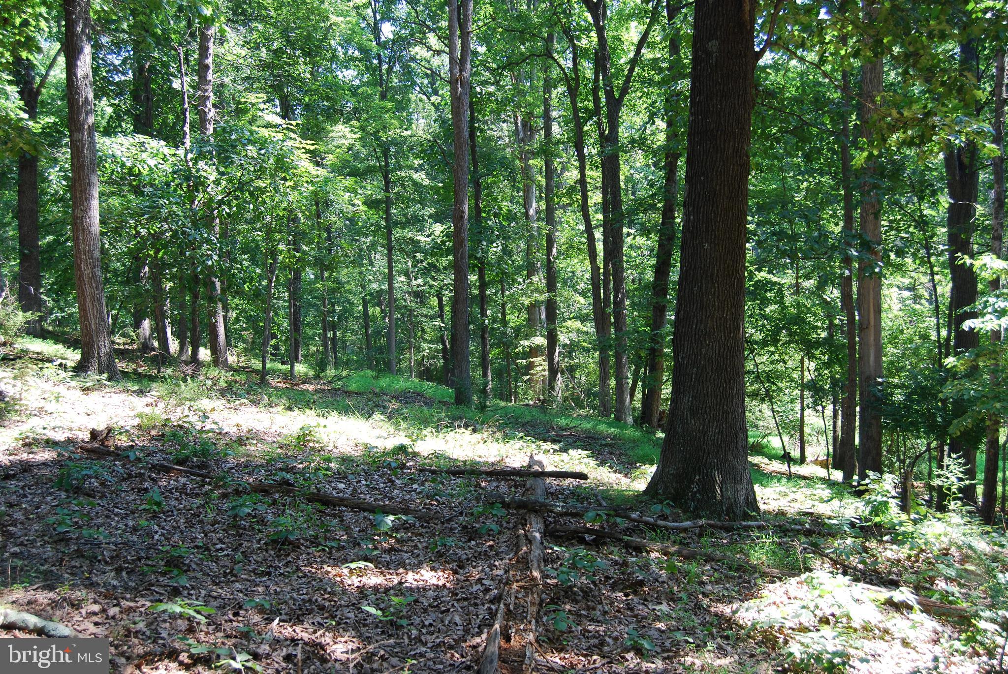 FOREST HEIGHTS - Residential