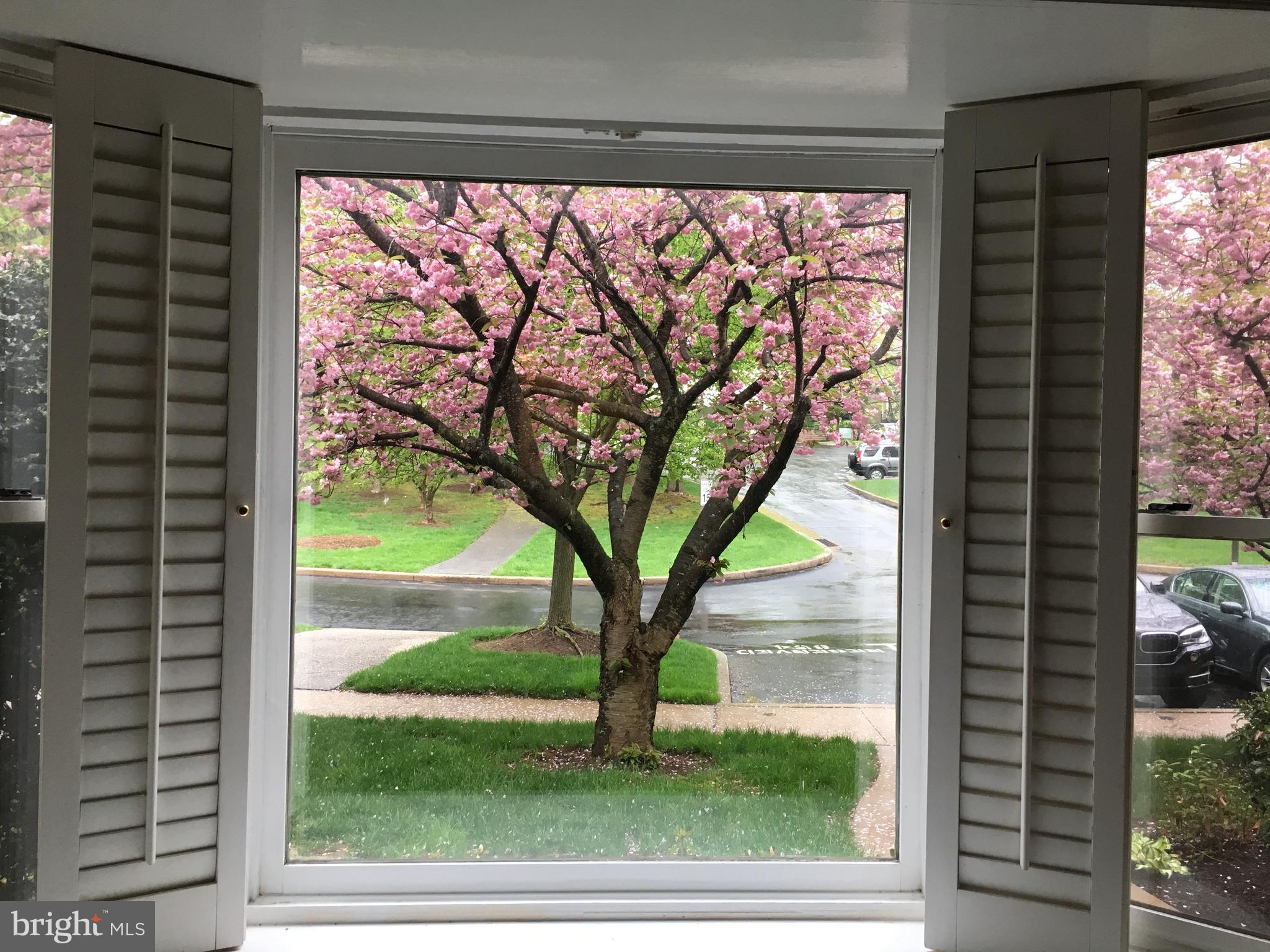 CHESTERBROOK - Residential