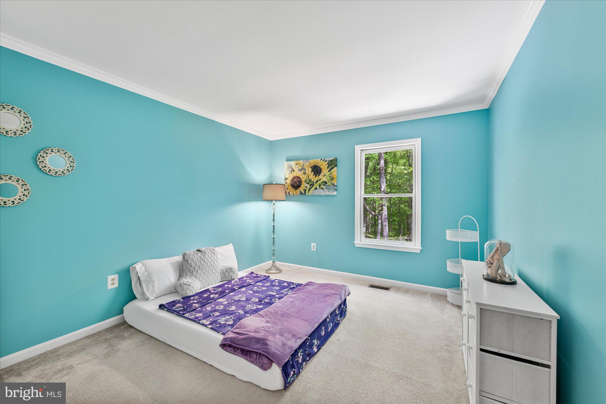 OLDE OAK RIDGE - Residential