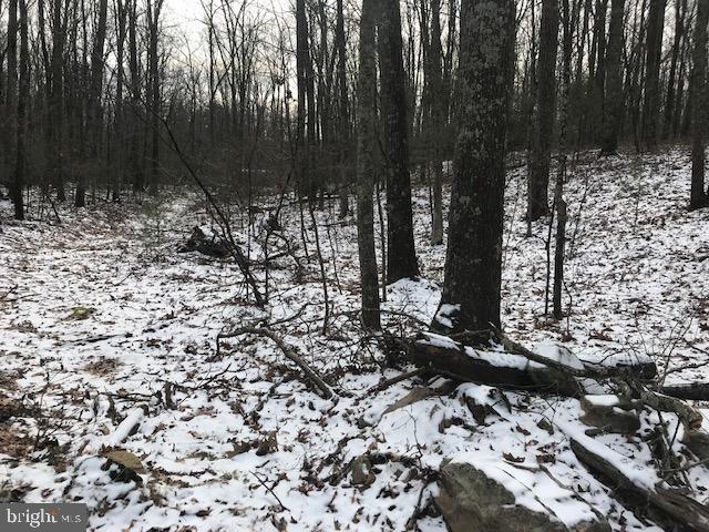 209x209 wooded lot in Fayette Twp on Camp Lane off of Mountain Road.  Perked for sandmound and design is on file for 3 bedroom & 2 full bath home.  Wooded.  No road frontage.  PPL has a 30' ROW on far right side of property.  Electric pool on site for hookup.  No well.