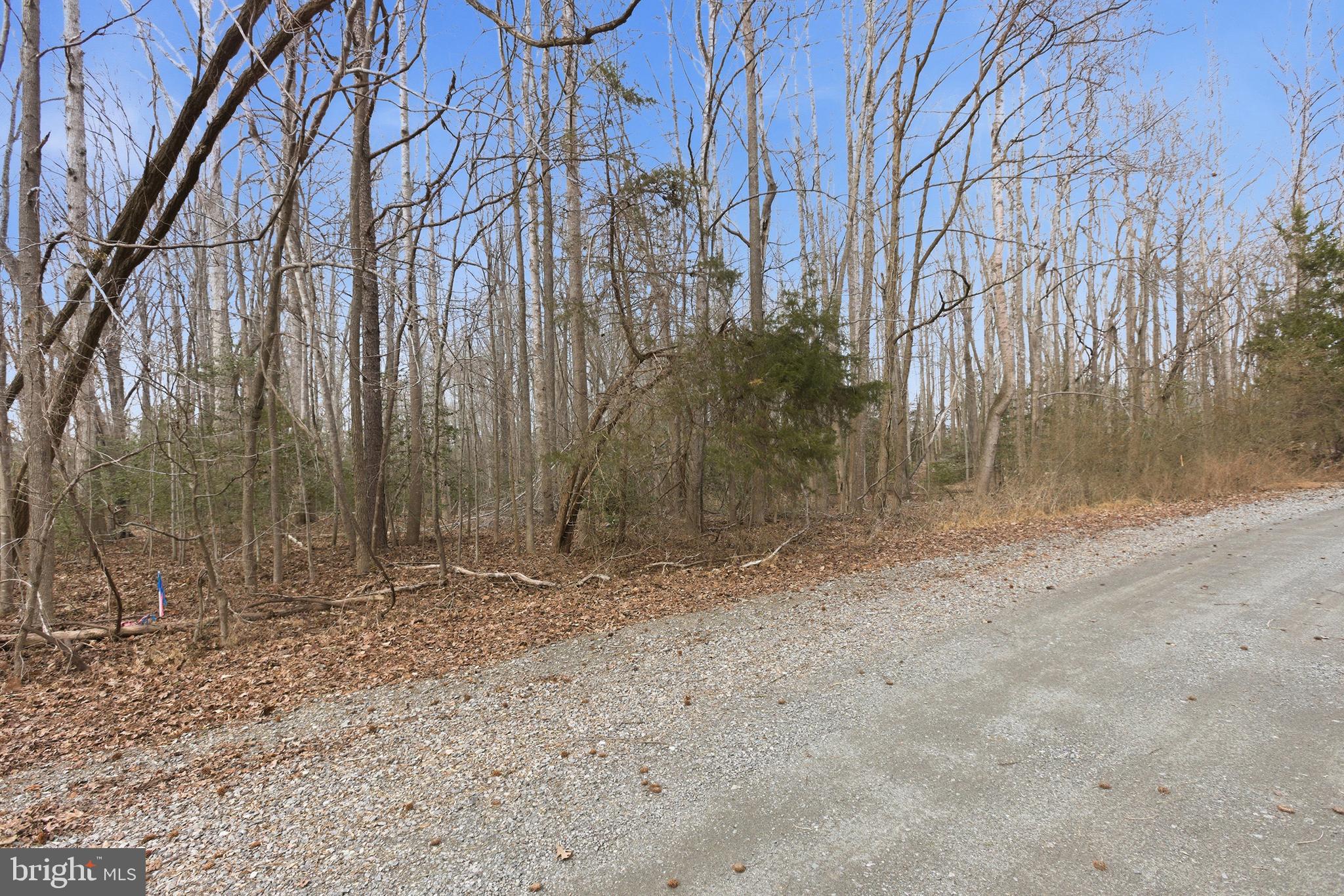 OLD PROSPECT LANDING - Land