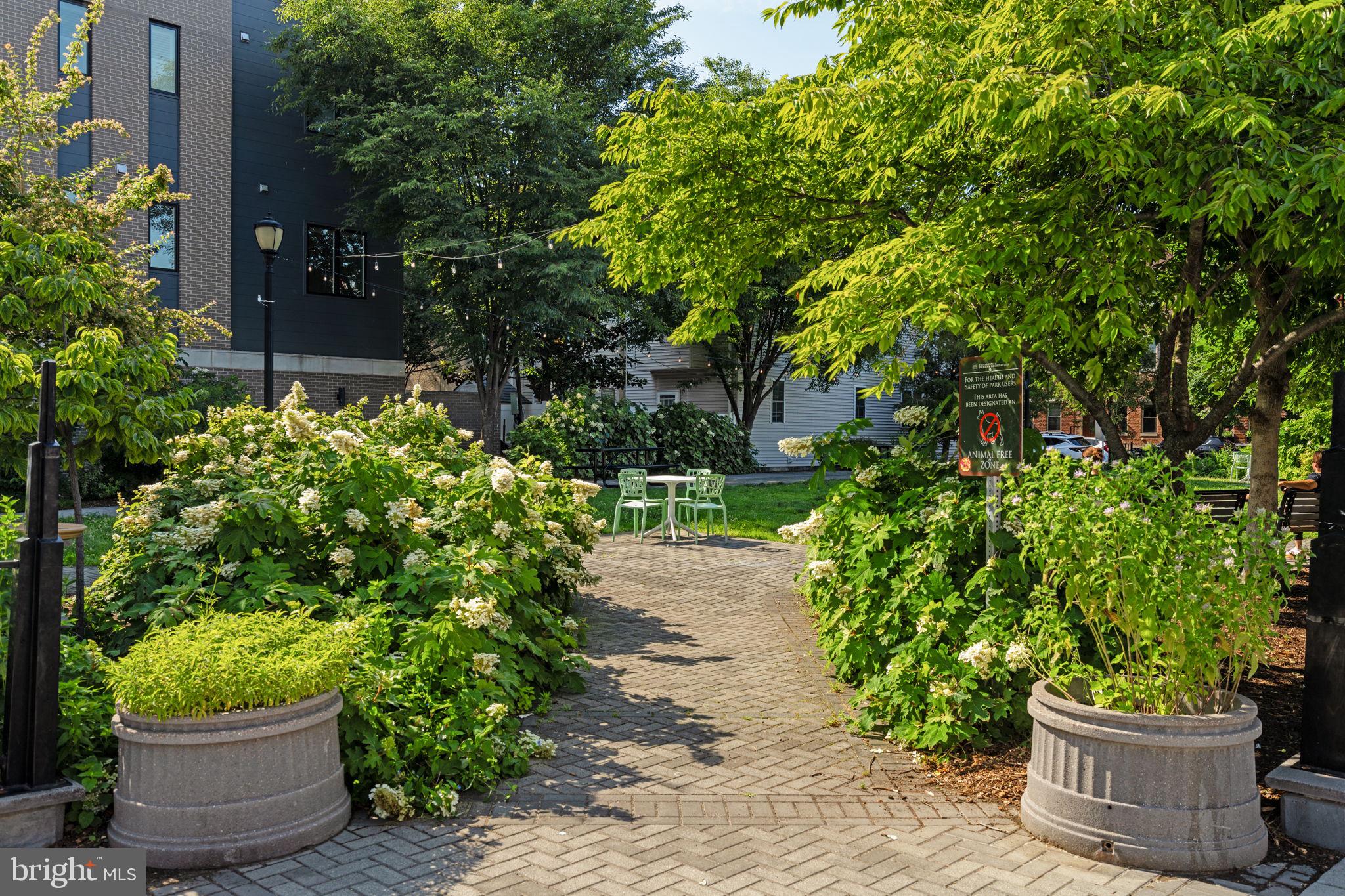 GRADUATE HOSPITAL - Residential