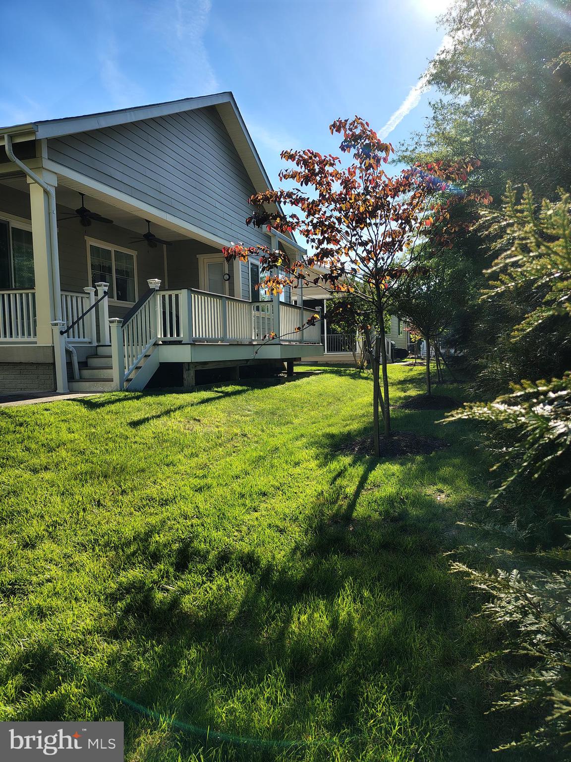 SHENANDOAH - Residential