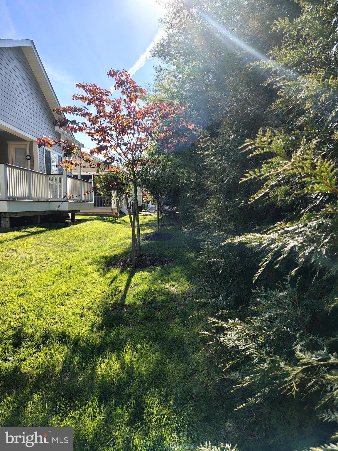 SHENANDOAH - Residential