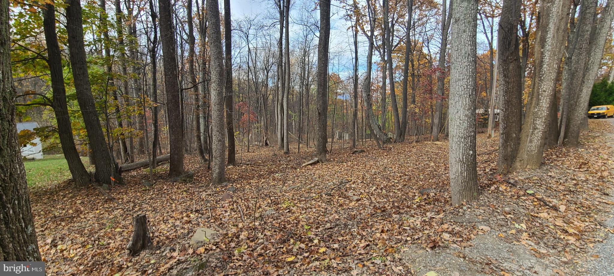 Tranquil, beautiful and buildable 1+ acre lot in Shenandoah Farms. Build your dream retreat in this 7000 acre community featuring lakes, river access, unparalleled views and great amenities. Whether you're looking to build your forever home or a weekend getaway from the hustle and bustle of the city, Shenandoah Farms is a great choice. The soil testing and engineering work is complete. Come by and explore the potential.