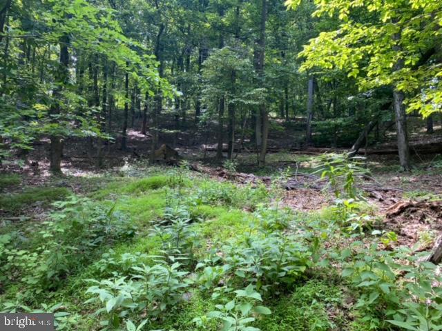 This property is nestled in the much sought-after Lake Forest Estates neighborhood. You will be buying 2.29 acres of Harpers Ferry's finest land. The property has a nice mountain view to the East. You will have access to the community lake, jetty, and pavilion. This is the perfect lot to build you dream home or a great lot for a vacation home or rental investment. There is so much potential with this lot.