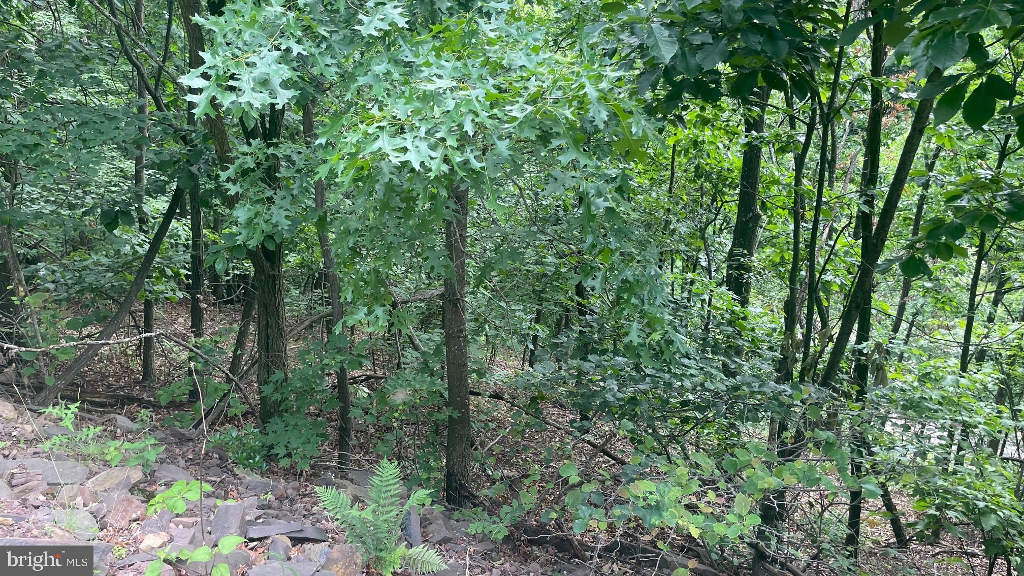 ASHTON WOODS - Land