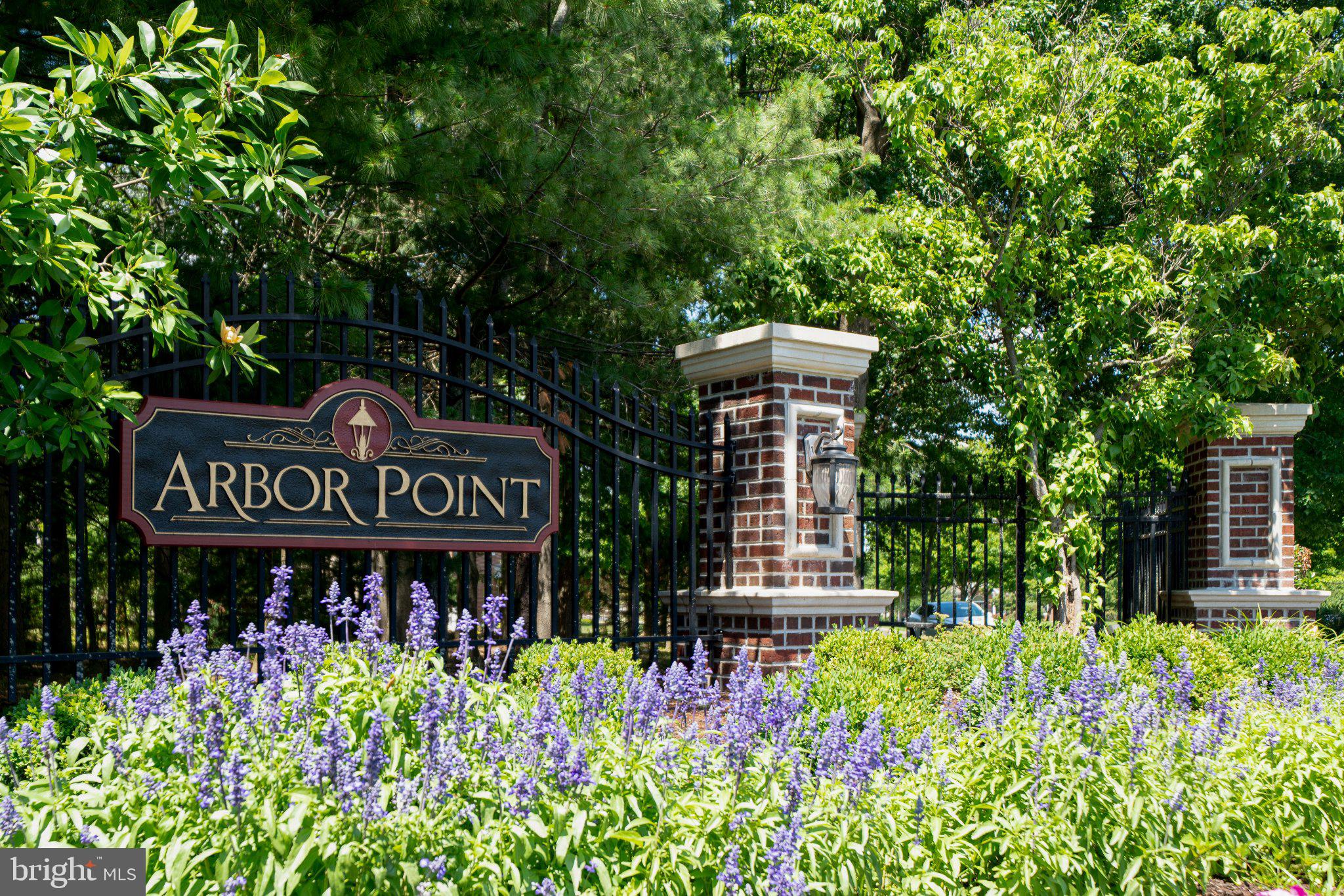 ARBOR POINT - Residential