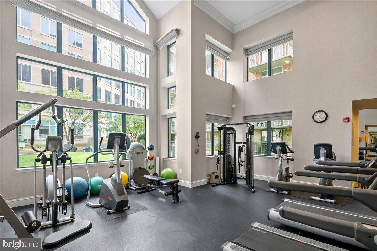 LEXINGTON SQUARE - Residential