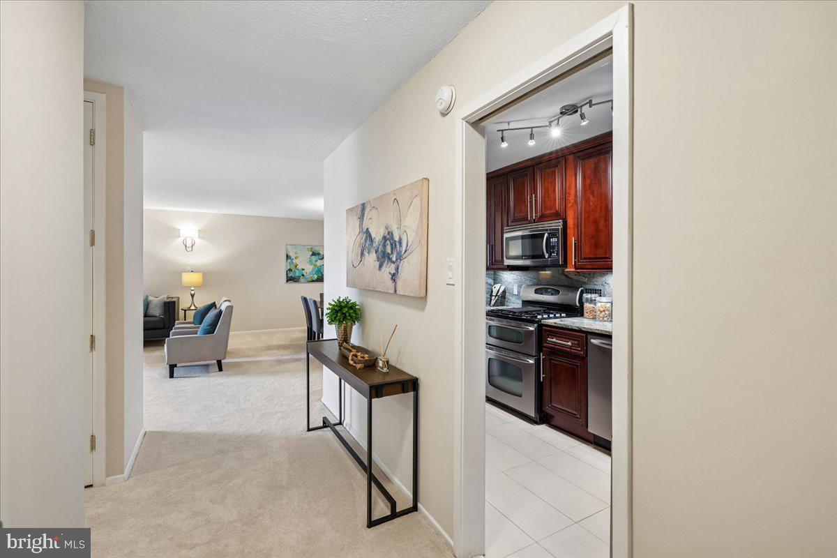 CHEVY CHASE VILLAGE - Residential