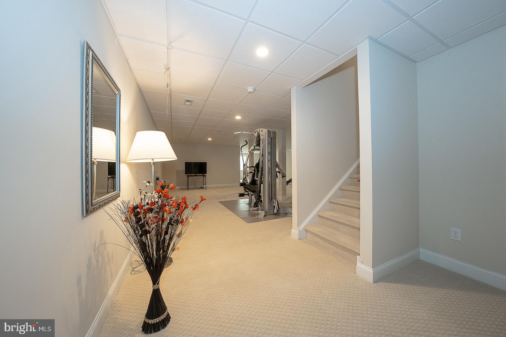 LISETER - Residential