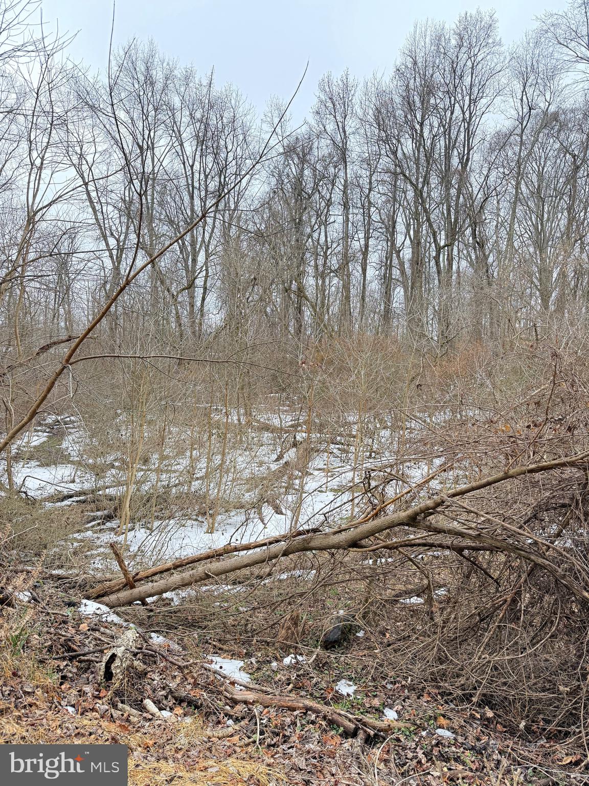 1 Acre lot within Indian Head Town limits with availability to hook-up to town water and sewer. Backs up to the Indian Head Rail Trail
Seller Financing Available