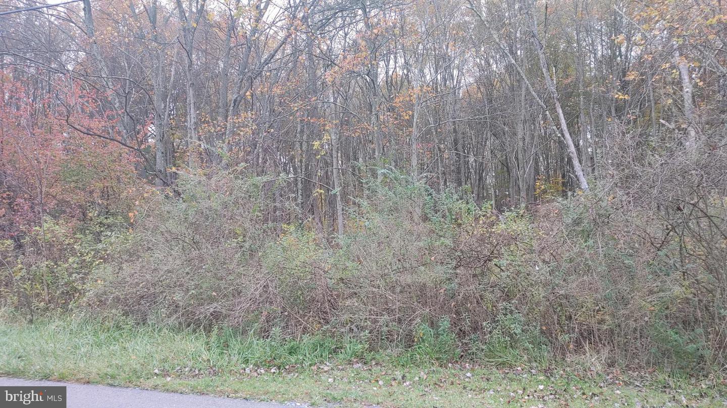 9.37 Acres – Wooded Lot in Rye Township Near Gamelands & Fishing Creek

Level, wooded 9.37-acre lot located in Rye Township, just 15 minutes from Harrisburg. Enjoy outdoor recreation with PA State Gamelands 170 and Fishing Creek, a stocked trout stream, both less than 1/4 mile away. The creek is stocked by the PA Fish Commission and Marysville Sportsmen’s Club. Great opportunity for nature lovers—ideal for hiking, biking, hunting, and fishing. Approved site plan included.