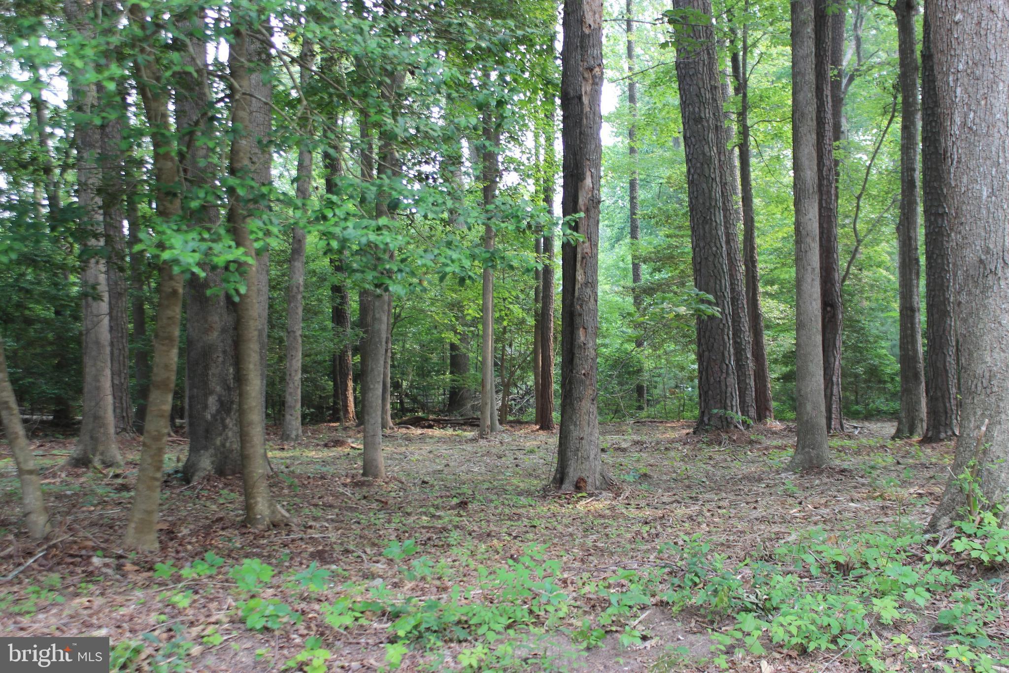 4/2105 Wooded with water availability. This lot is in a highly sought after area of Captains Cove and backs to a common area for privacy. The lot is close to the entrance, while at the same time, just a short distance to all the amenities. Buy now and build later, take advantage of this great buy! No time frame to build and no Builder Tie-In. Adjoining lot 4/2104 is also available for $5000 or buy both lots for $9,000, Enjoy all the amenities and the lifestyle on the Eastern Shore of VA. Close to Chincoteague Island, Wallops Island and Ocean City MD. HOA Amenities: Pristine 9 Hole Golf Course, indoor/outdoor pools (2), fitness center, basketball & pickle-ball courts, boat ramp, docks, playground, Biking & walking trails, dog park, picnic area, security and so much more.