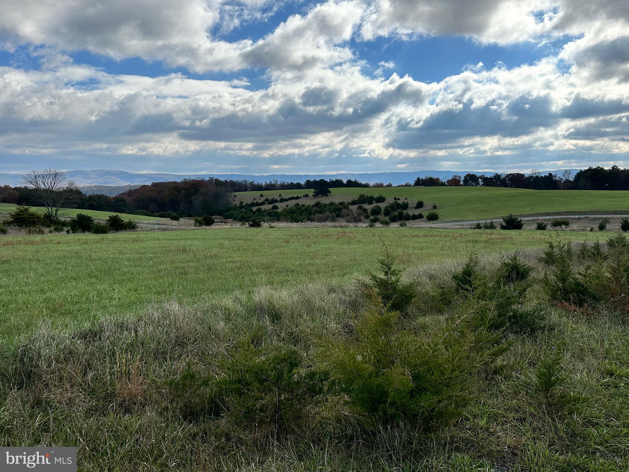 CEDAR LAKE - Land