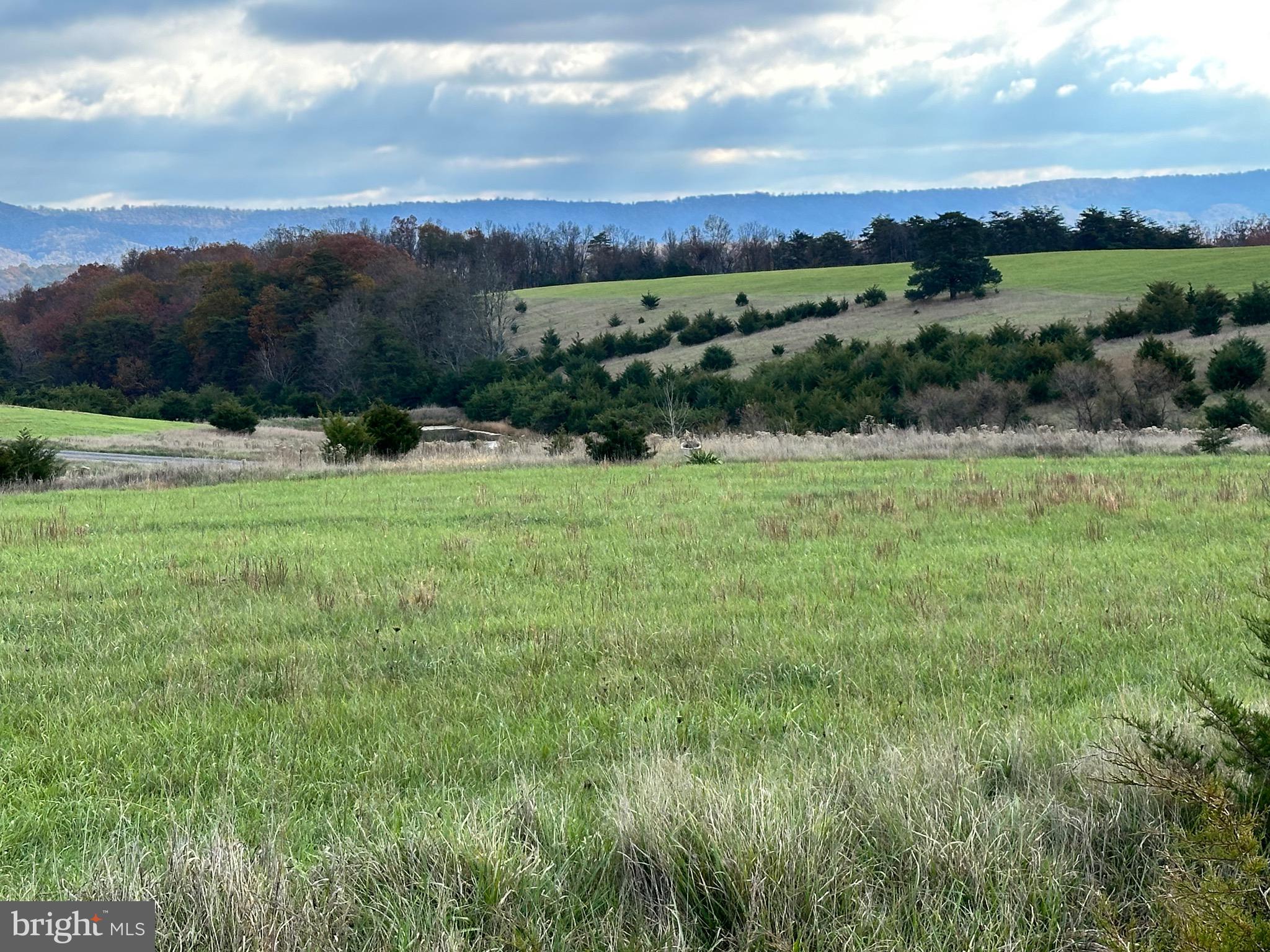 CEDAR LAKE - Land