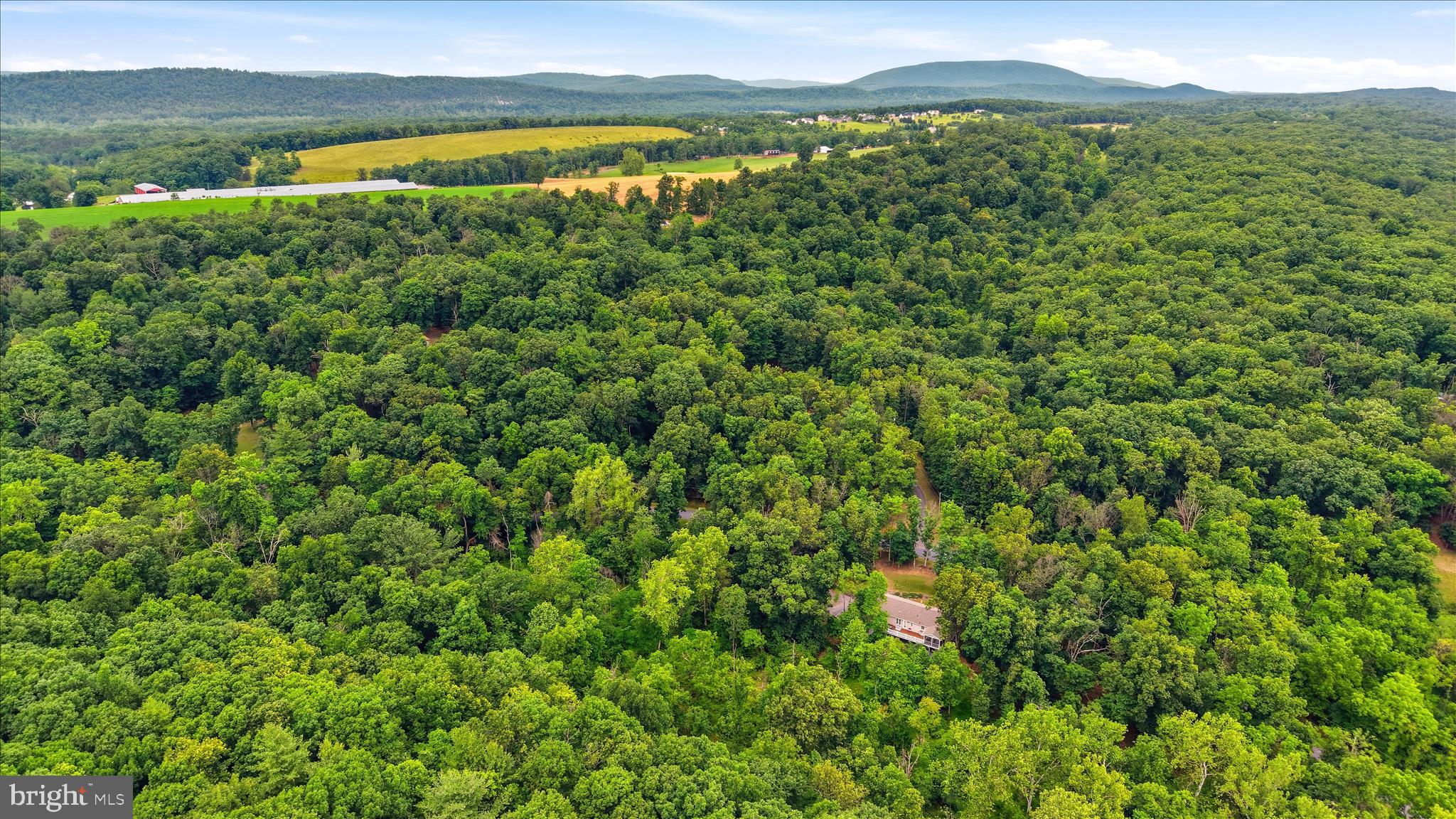 TIMBER RIDGE FARMS - Residential