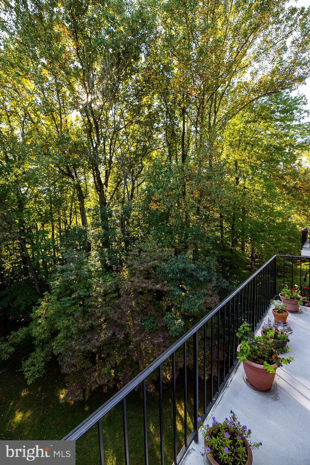 PARKSIDE CONDOMINIUMS - Residential Lease