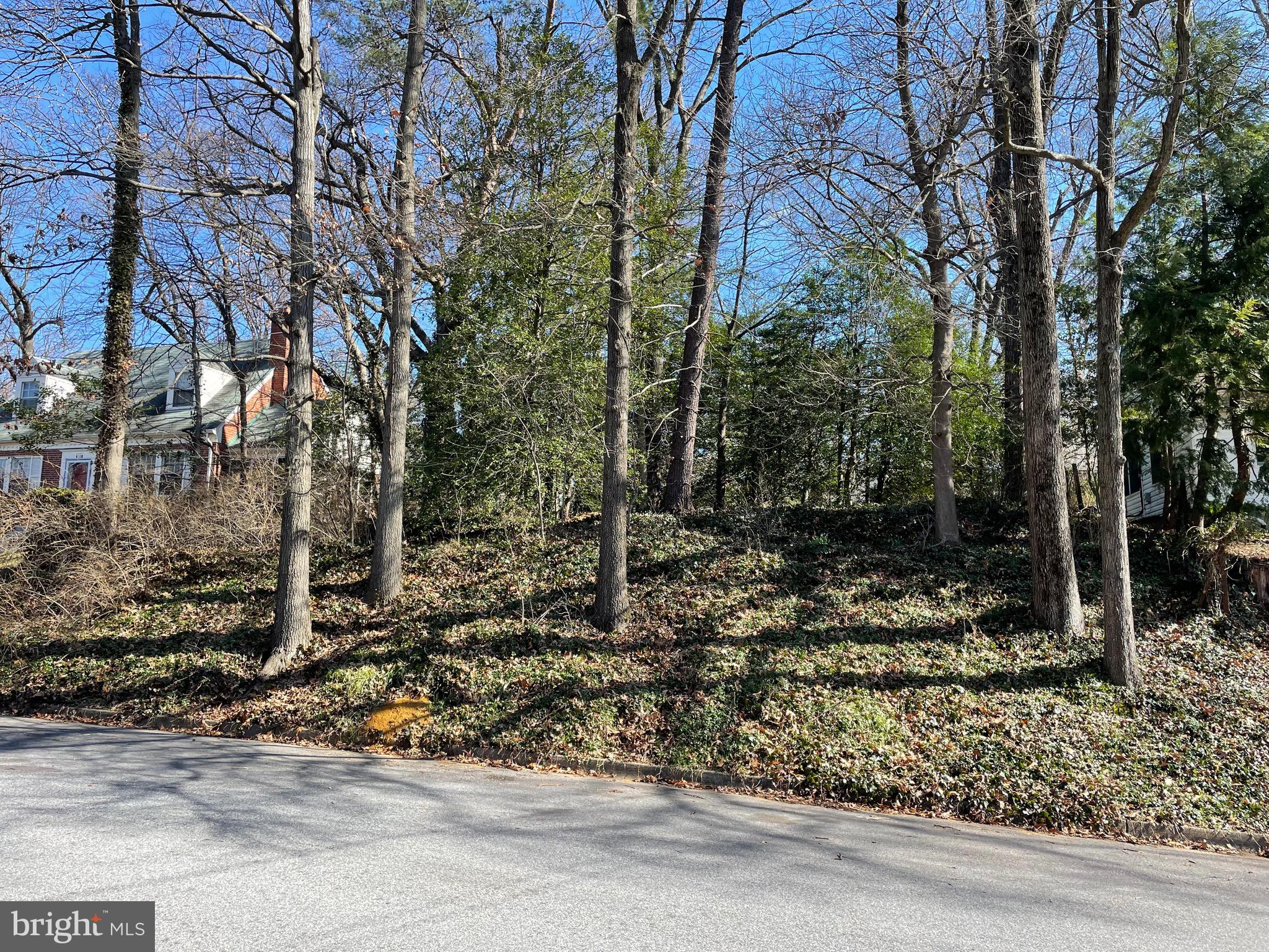 Approximately 8184 square feet vacant lot for sale in highly desired University Park neighborhood.  Lot is approximately 62 feet wide by 132 feet deep. Property is close to the University of Maryland, Metro, major transportation routes, shopping, restaurants and entertainment. Buyer is responsible for determining if a permit can be obtained from Prince George's County to build a single family house.