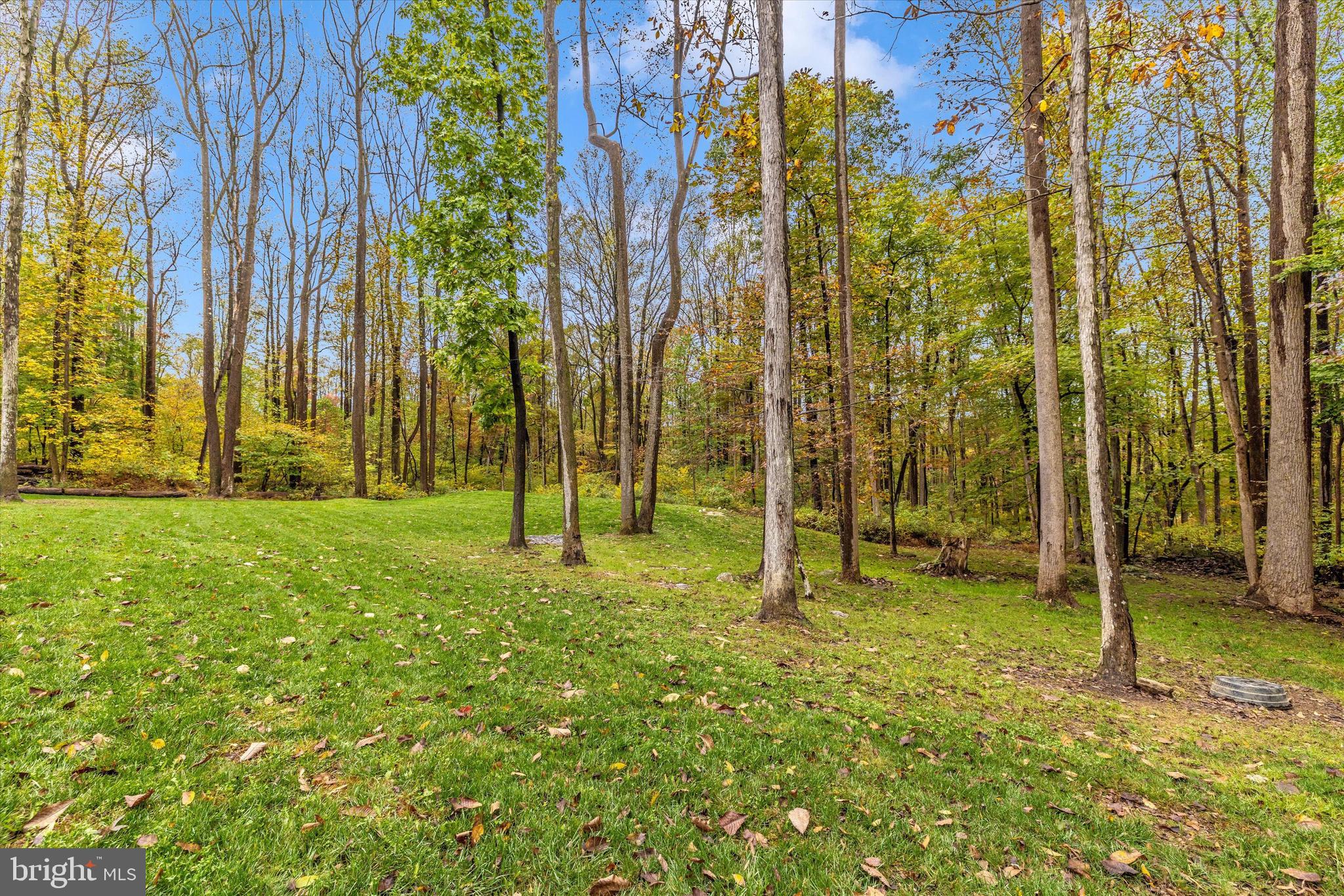 FOX TOWER KNOLLS - Residential