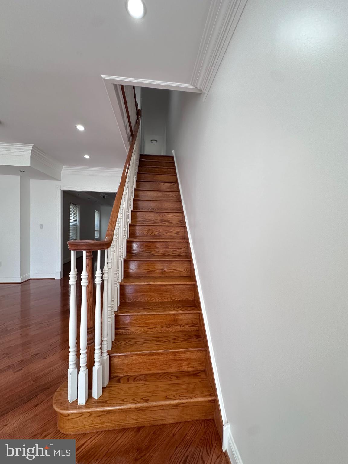 SOUTH STREET - Residential