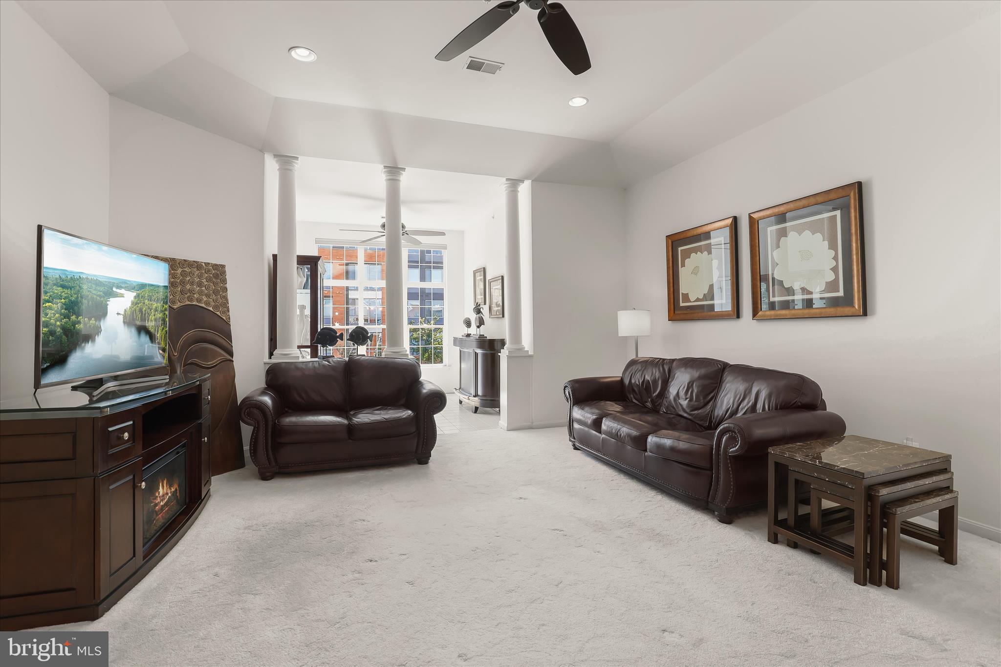 THE WHITNEY TOWN CENTER - Residential