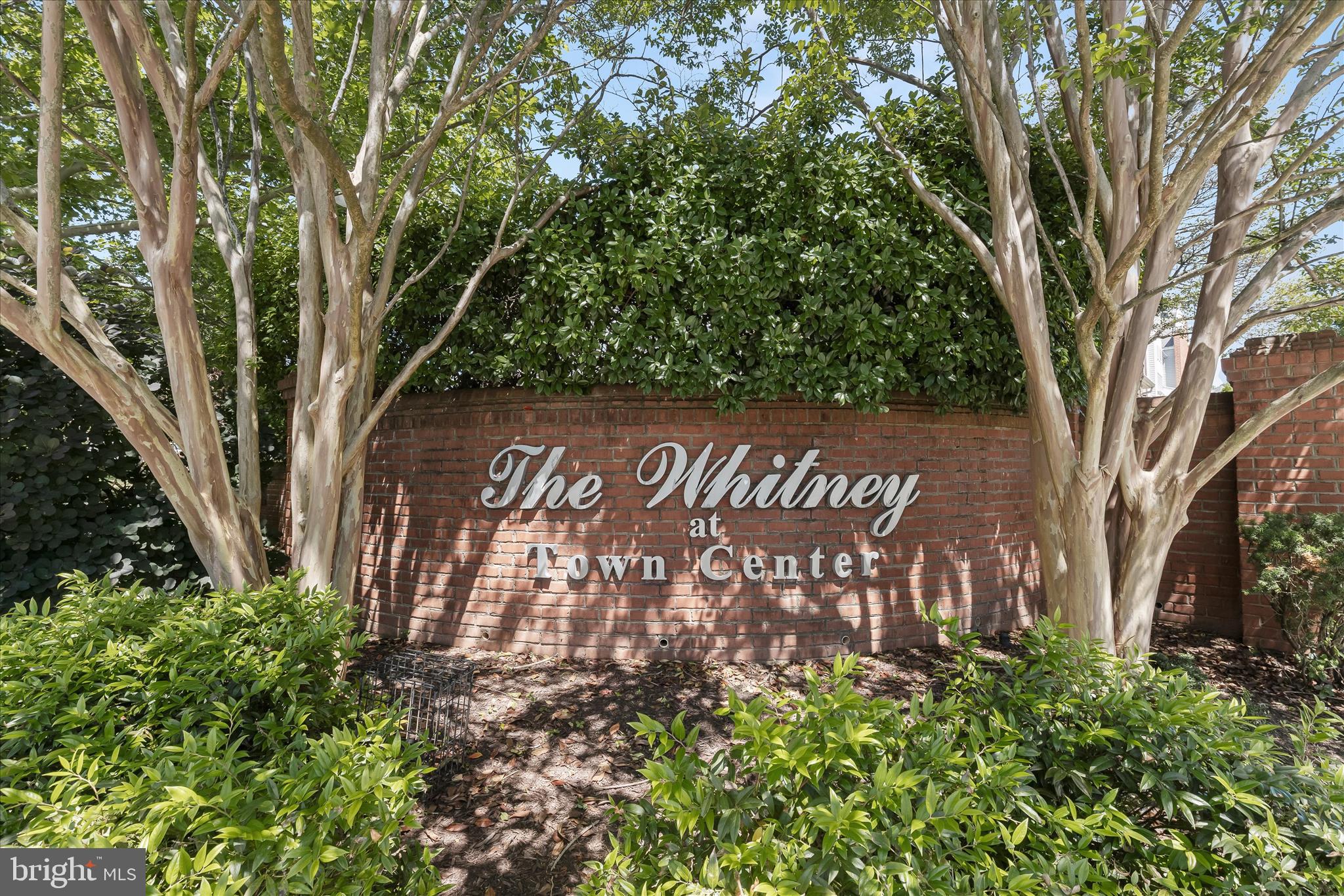 THE WHITNEY TOWN CENTER - Residential