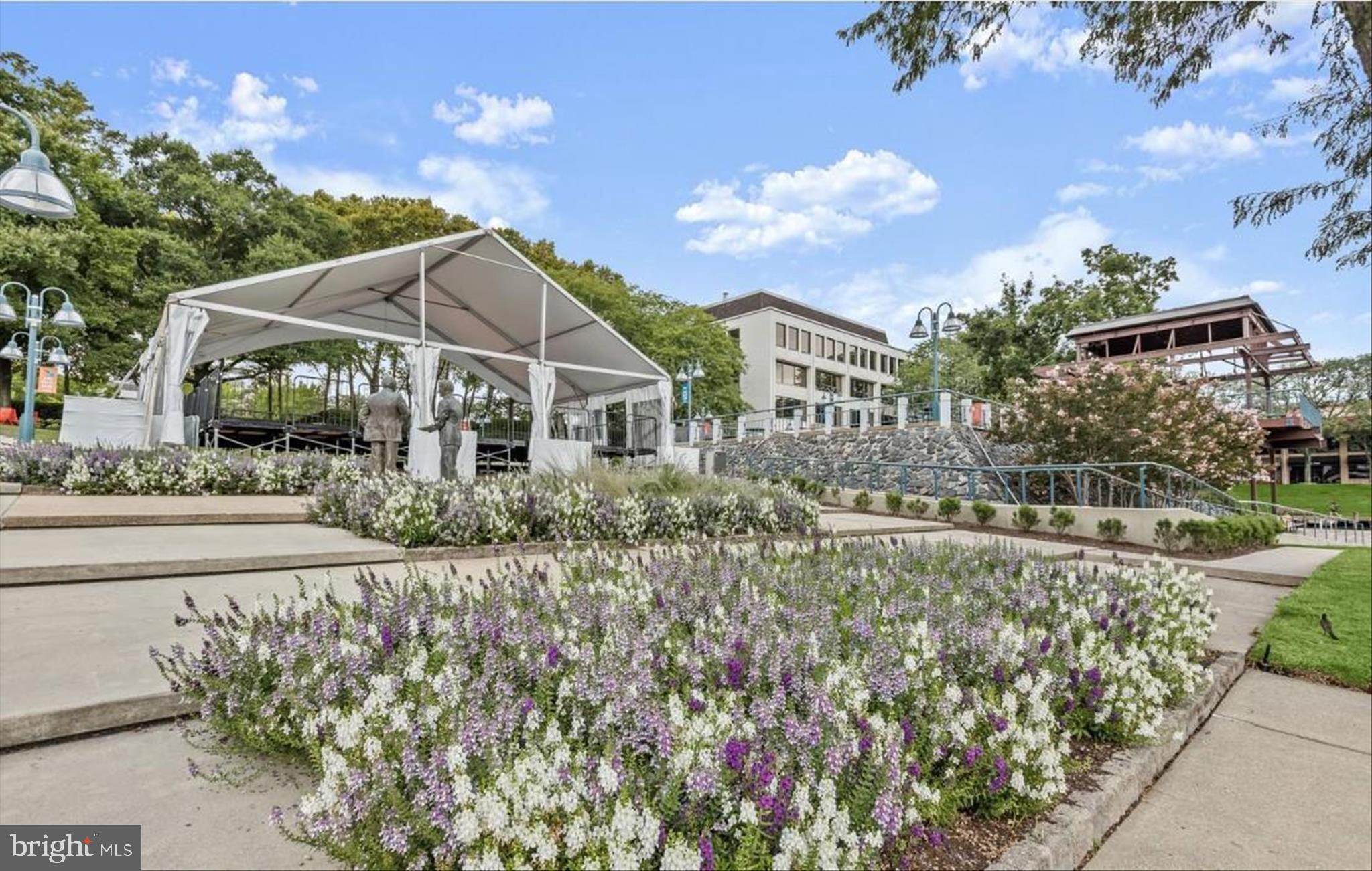 THE WHITNEY TOWN CENTER - Residential