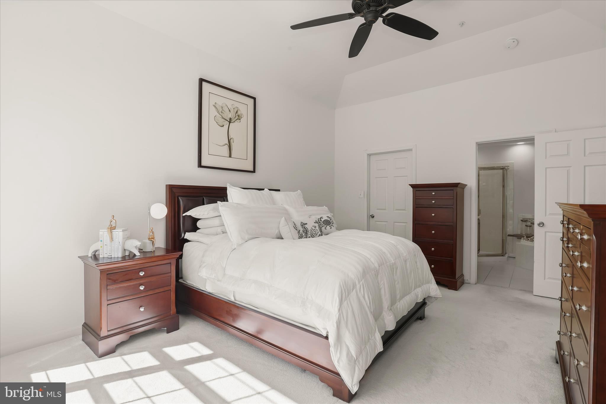 THE WHITNEY TOWN CENTER - Residential