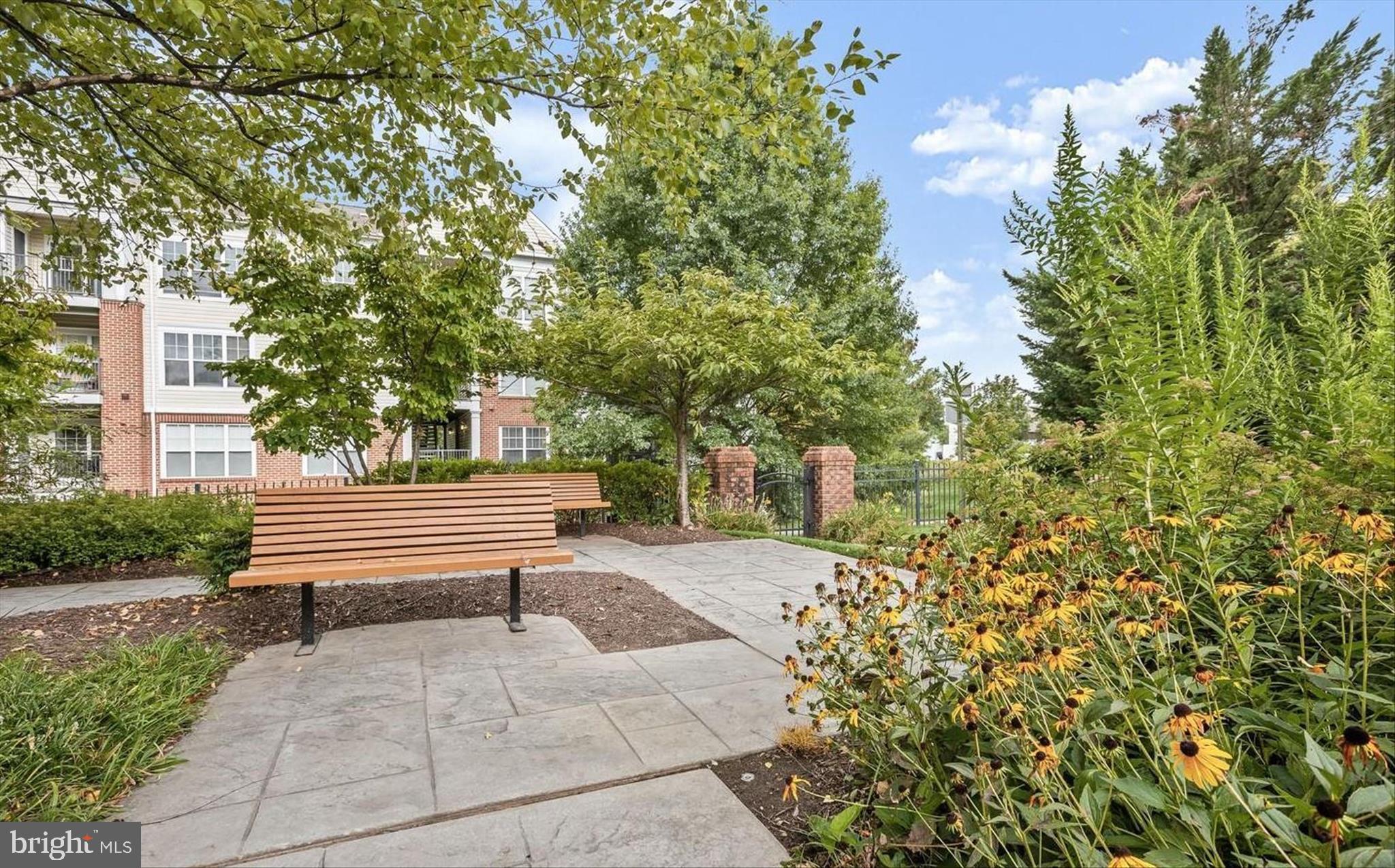 THE WHITNEY TOWN CENTER - Residential